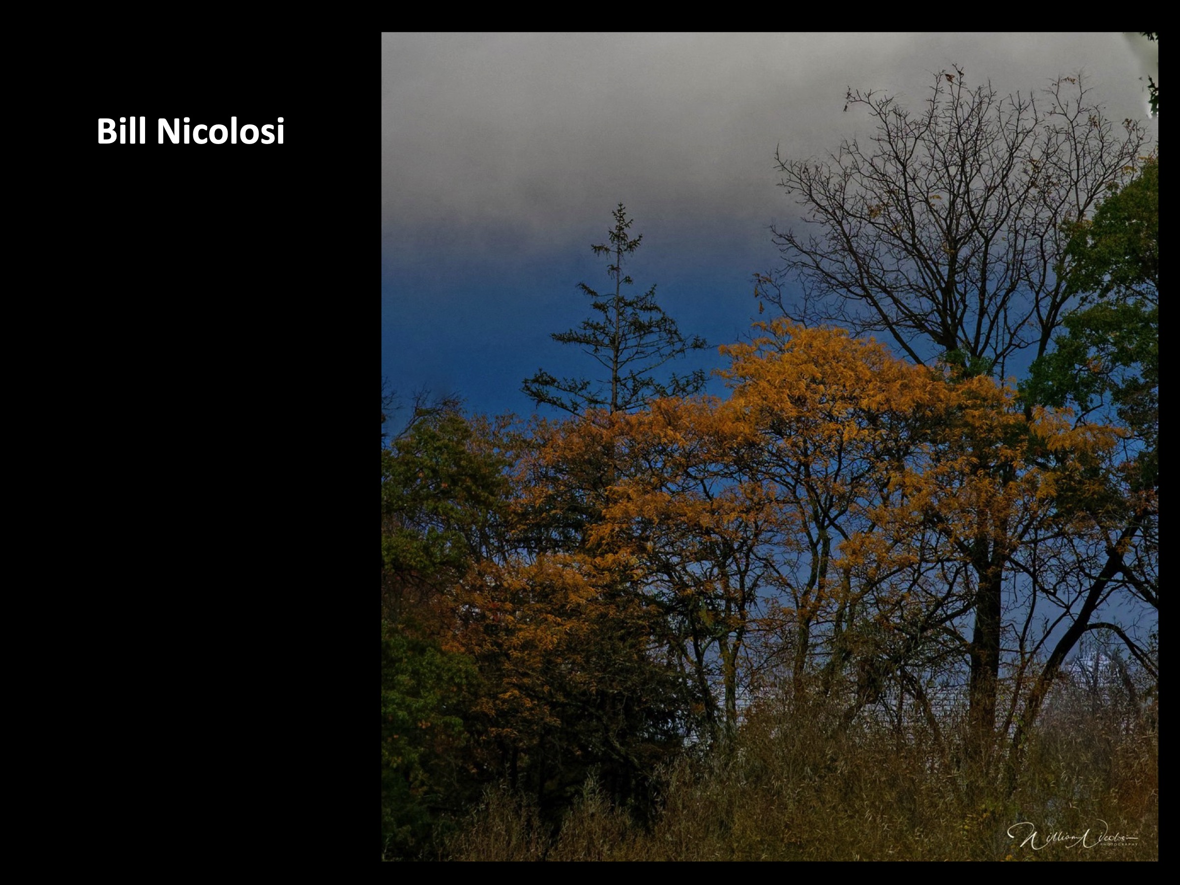 Slide064