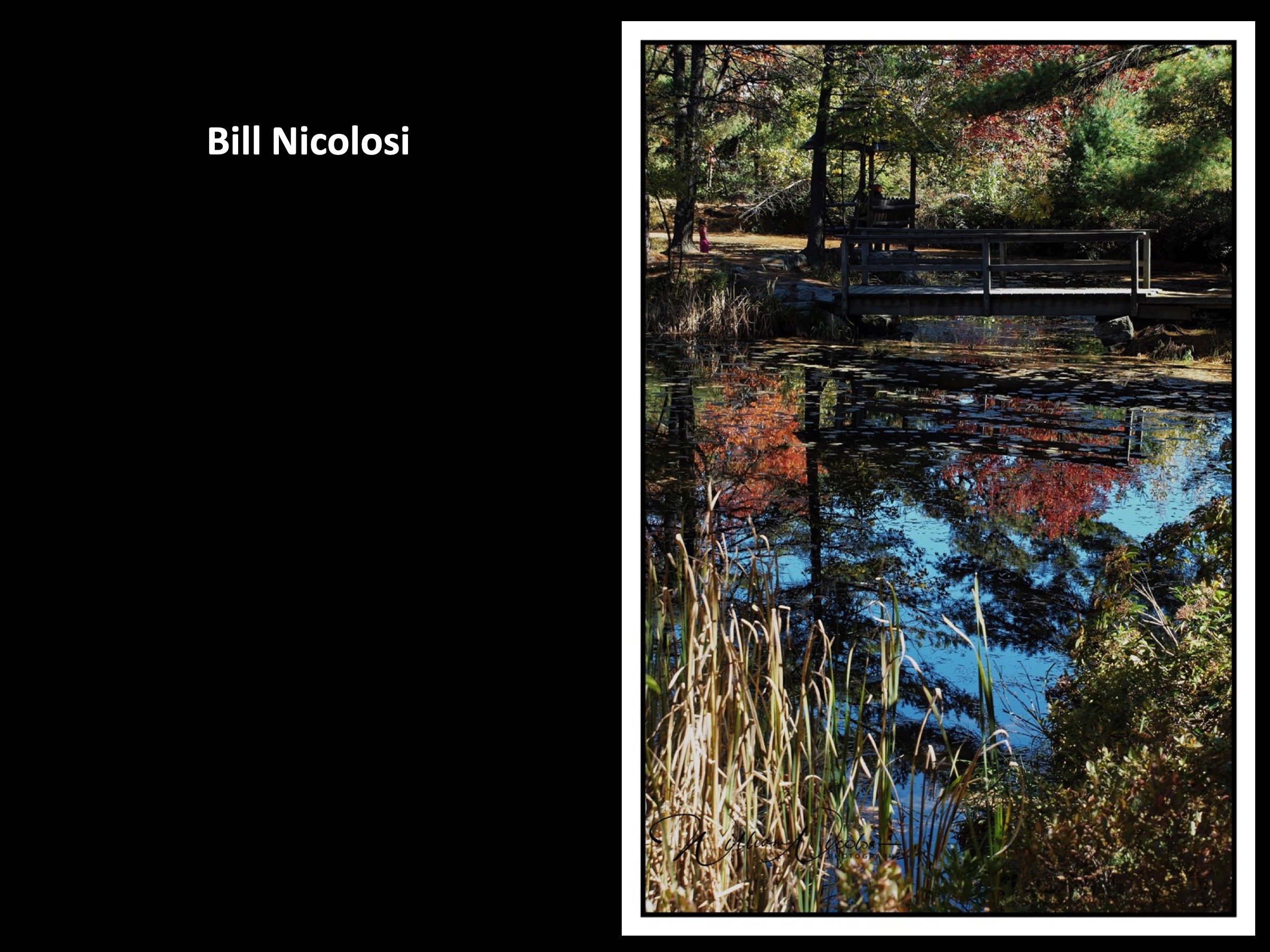Slide066
