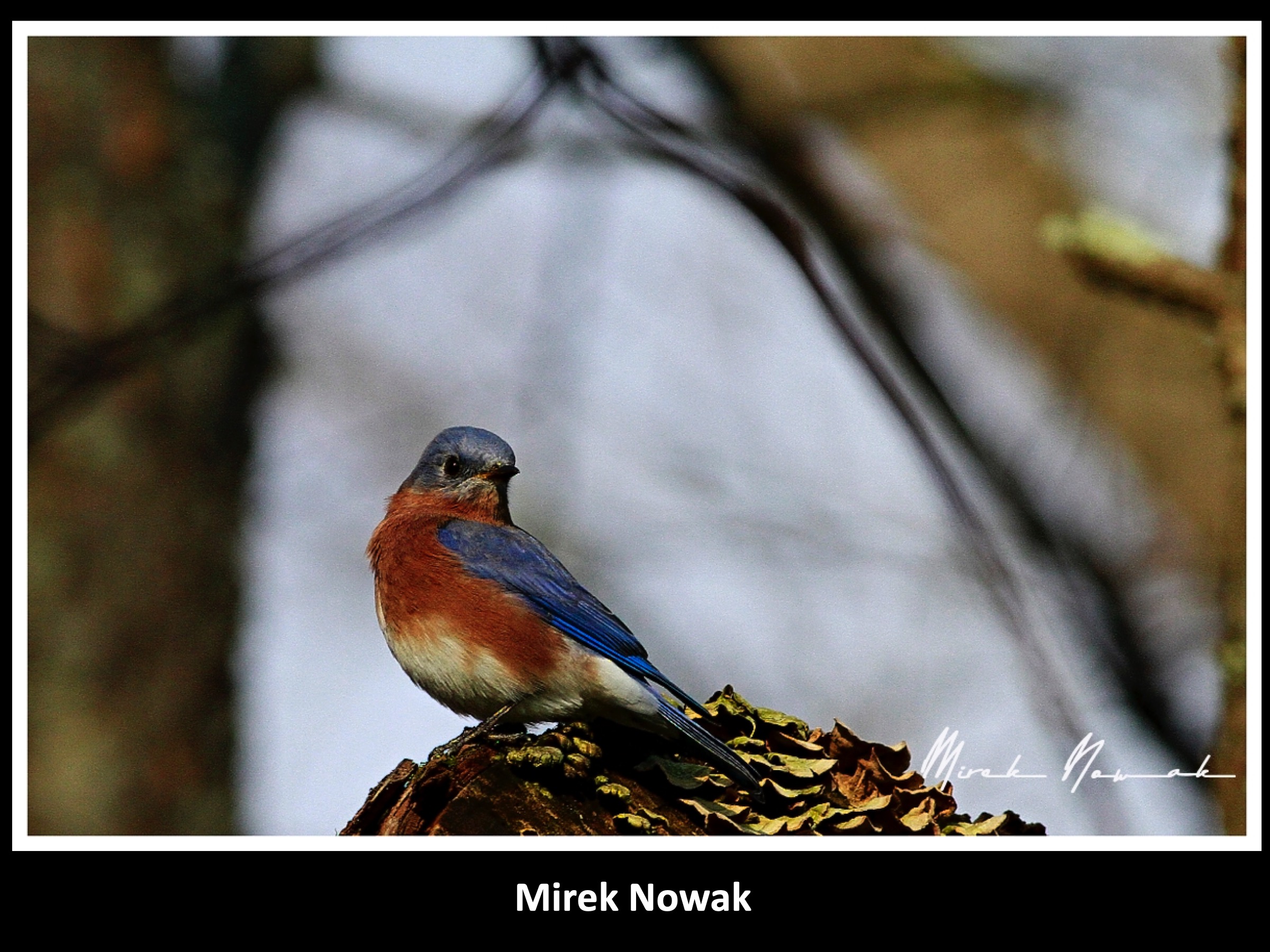Slide068
