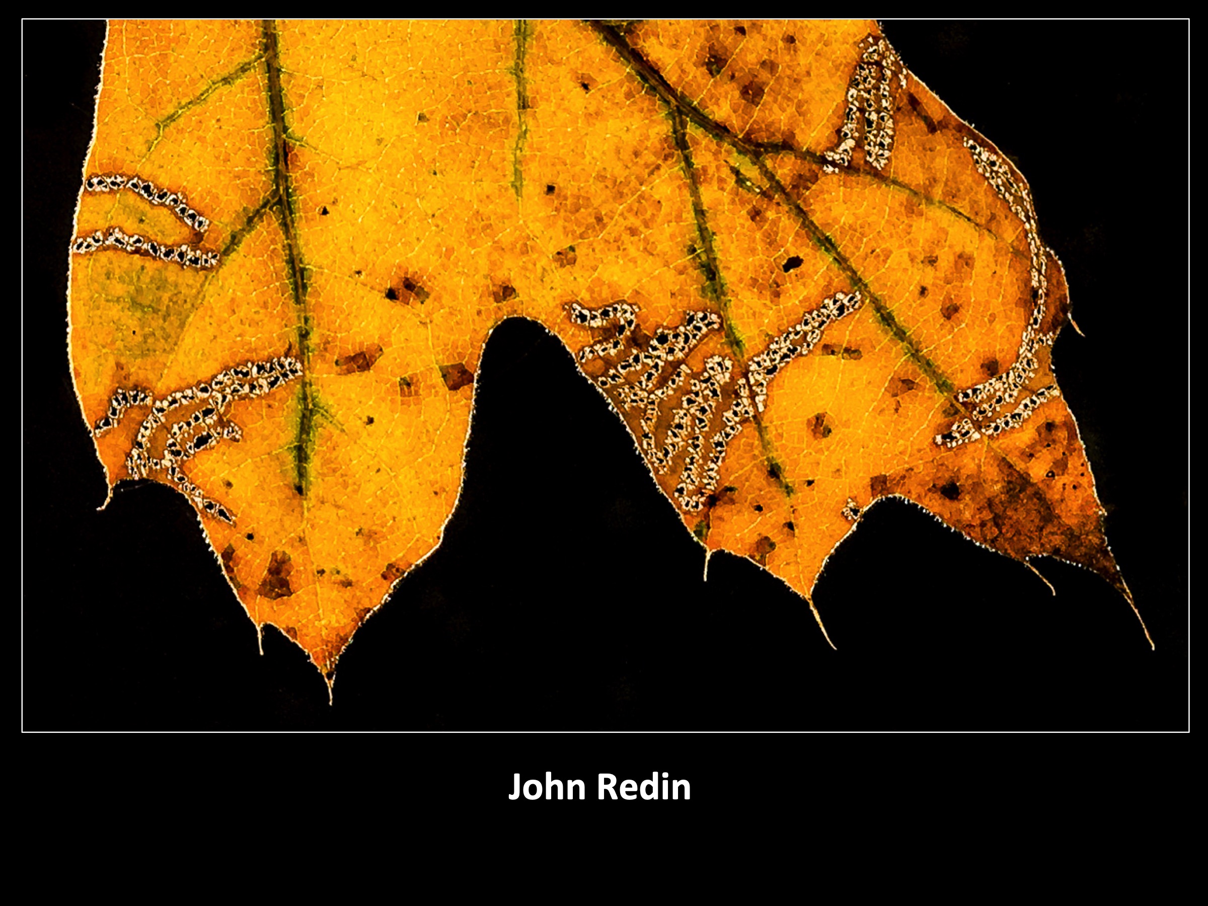Slide093