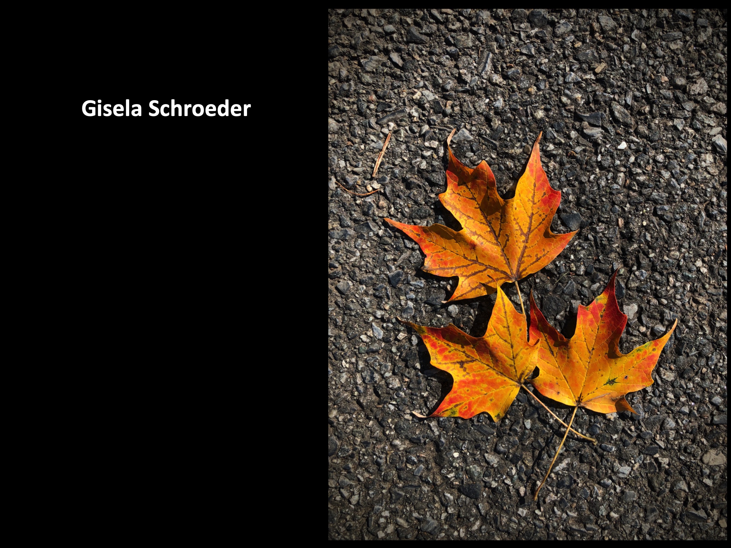 Slide111