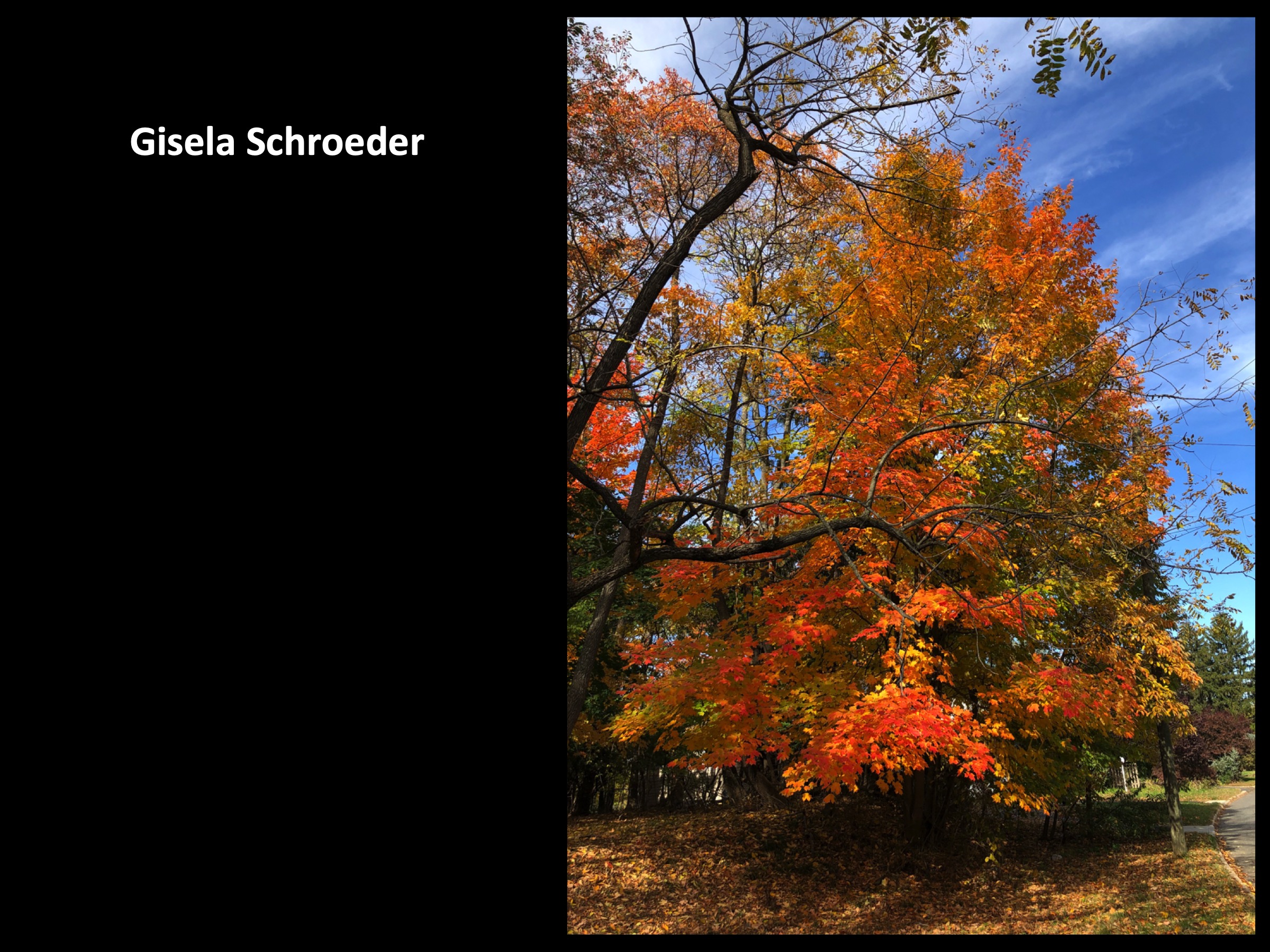 Slide112