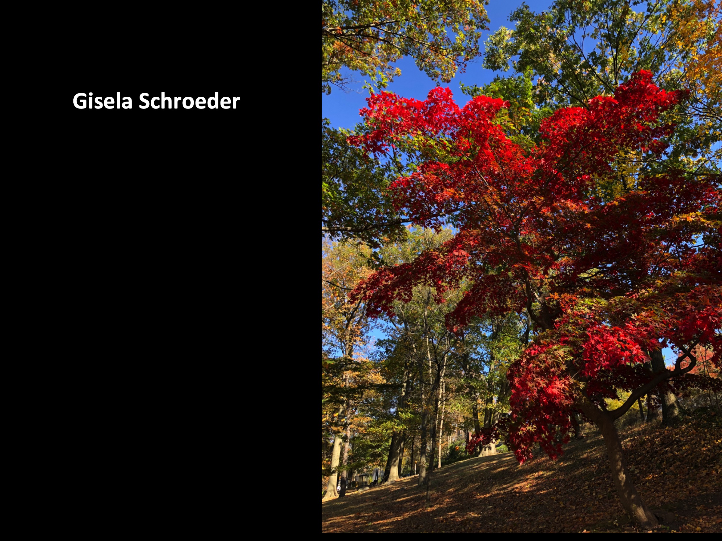 Slide114