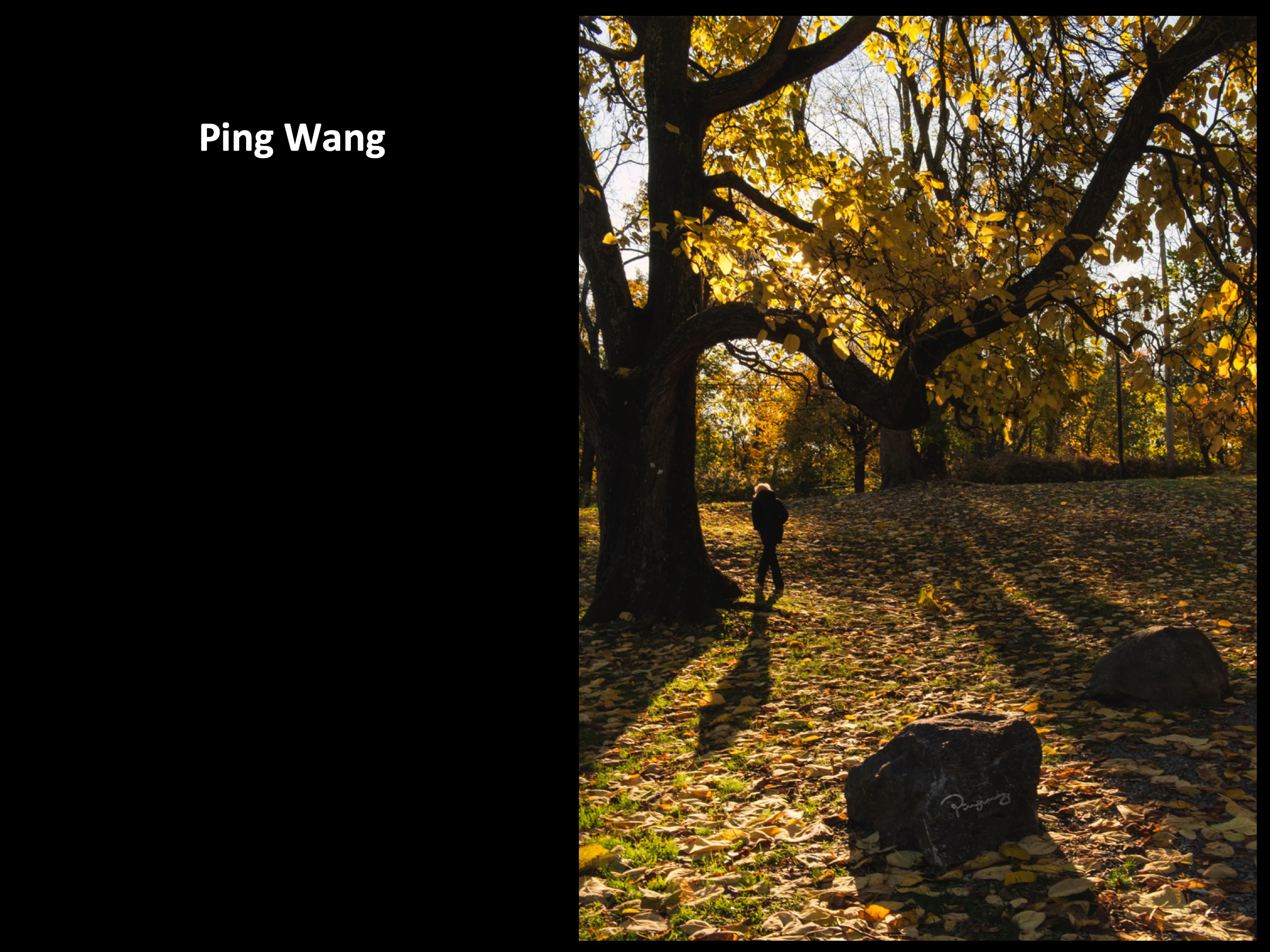 Slide127