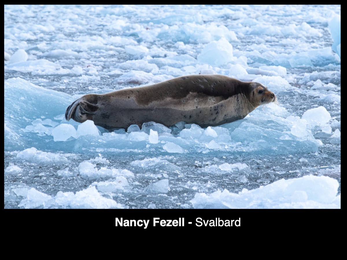 Slide016