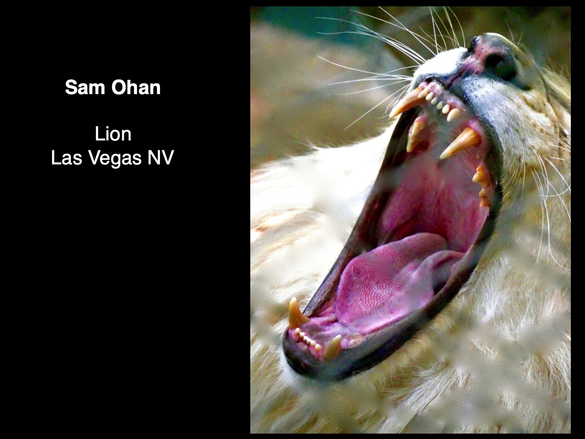 Slide052