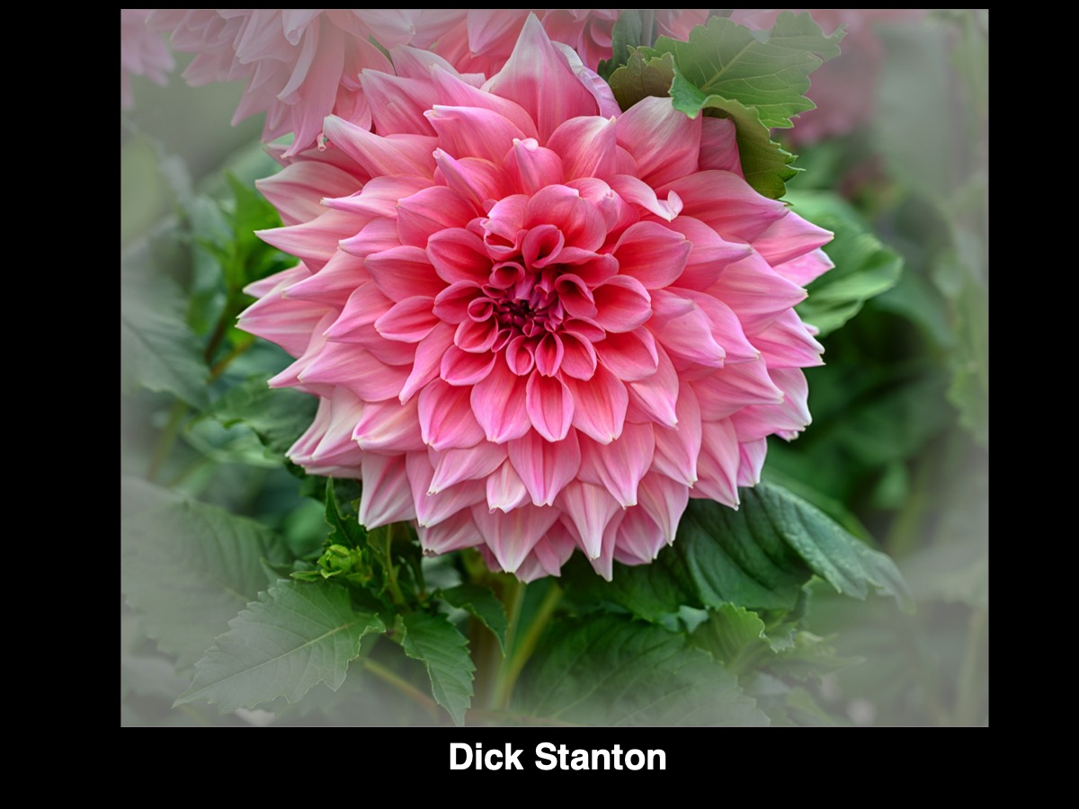 Slide098