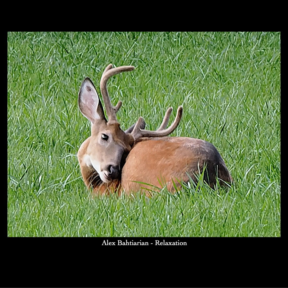 Slide13