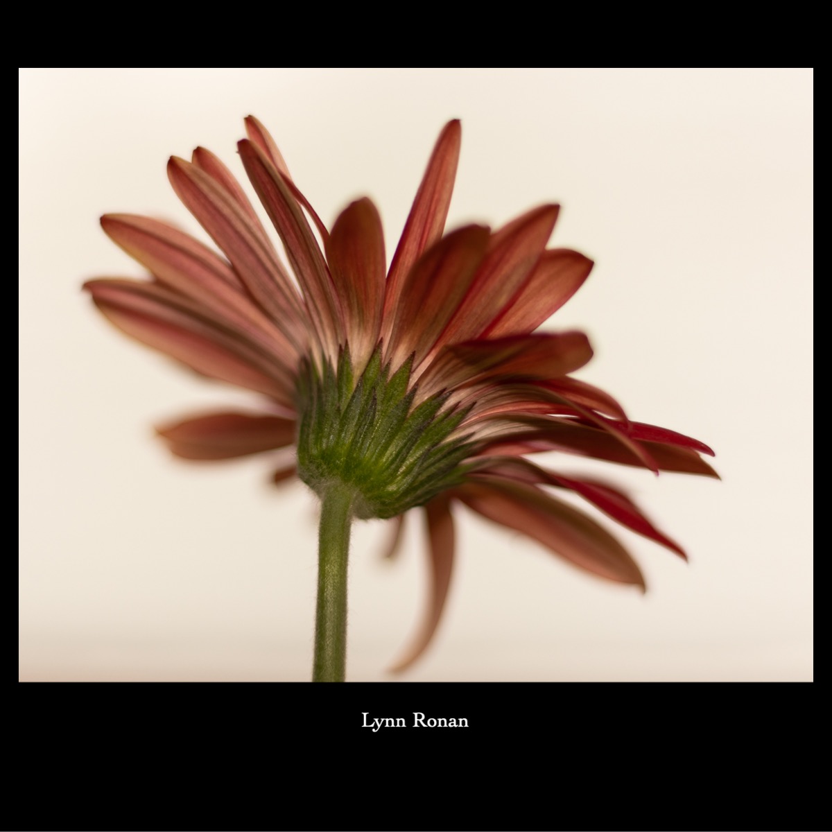 Slide139