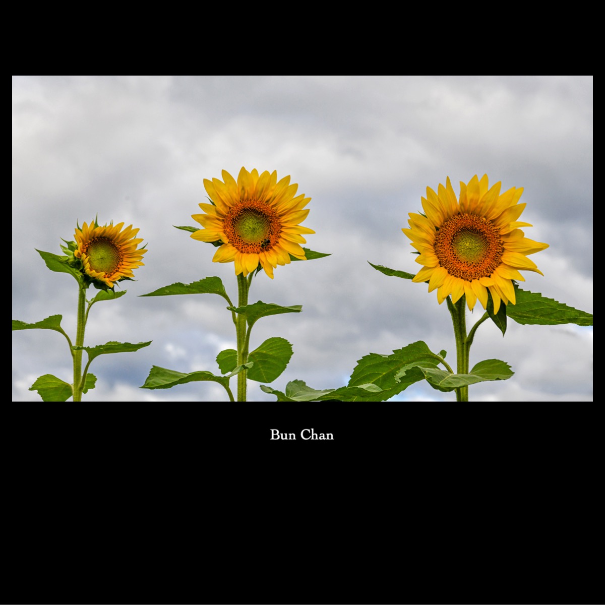 Slide14