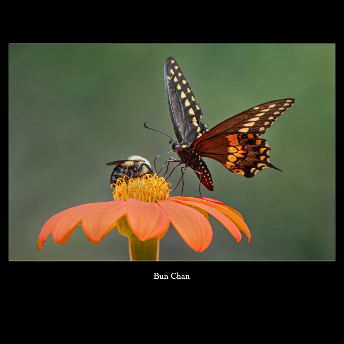 Slide15