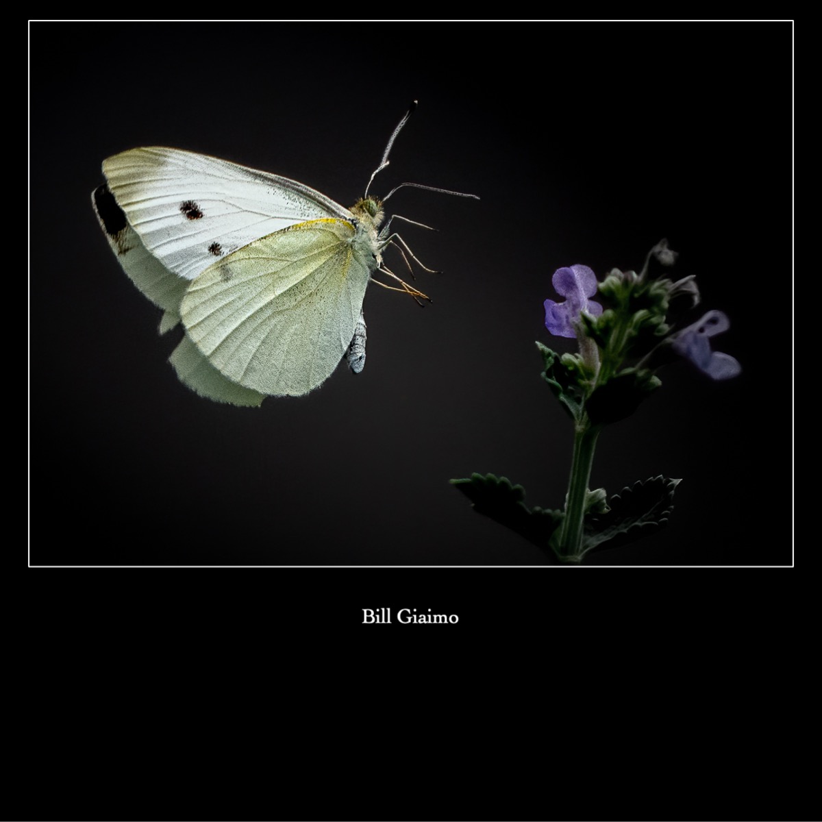 Slide44