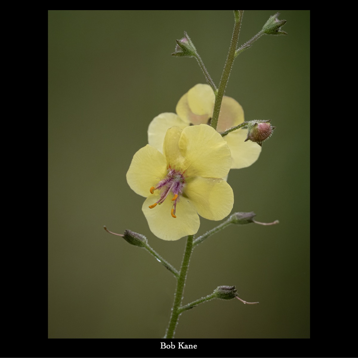 Slide56