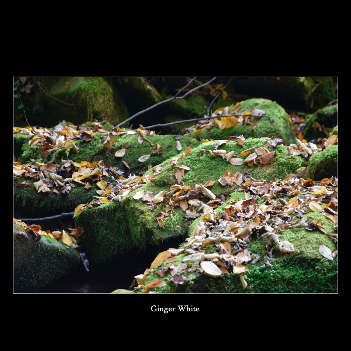 Slide141