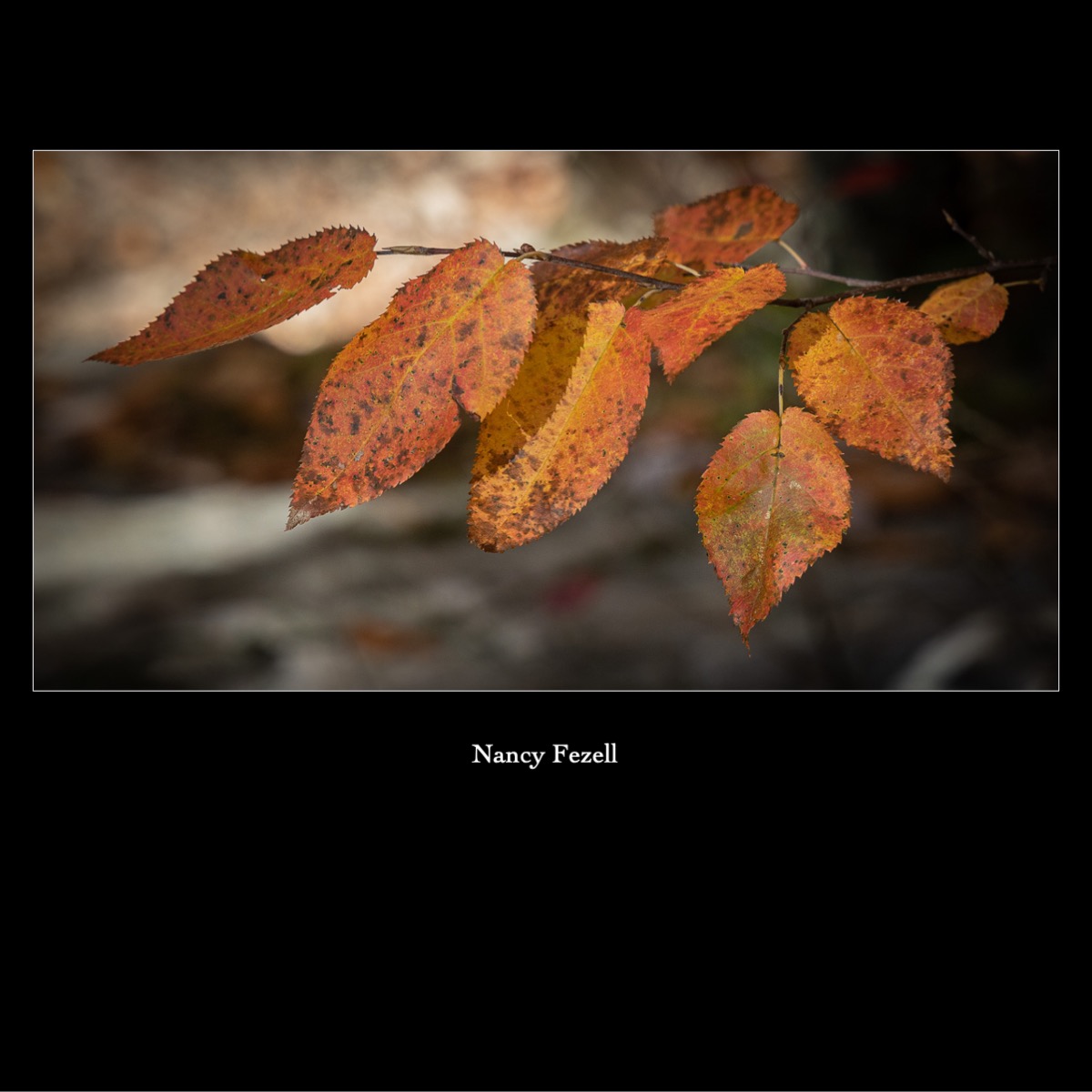 Slide17