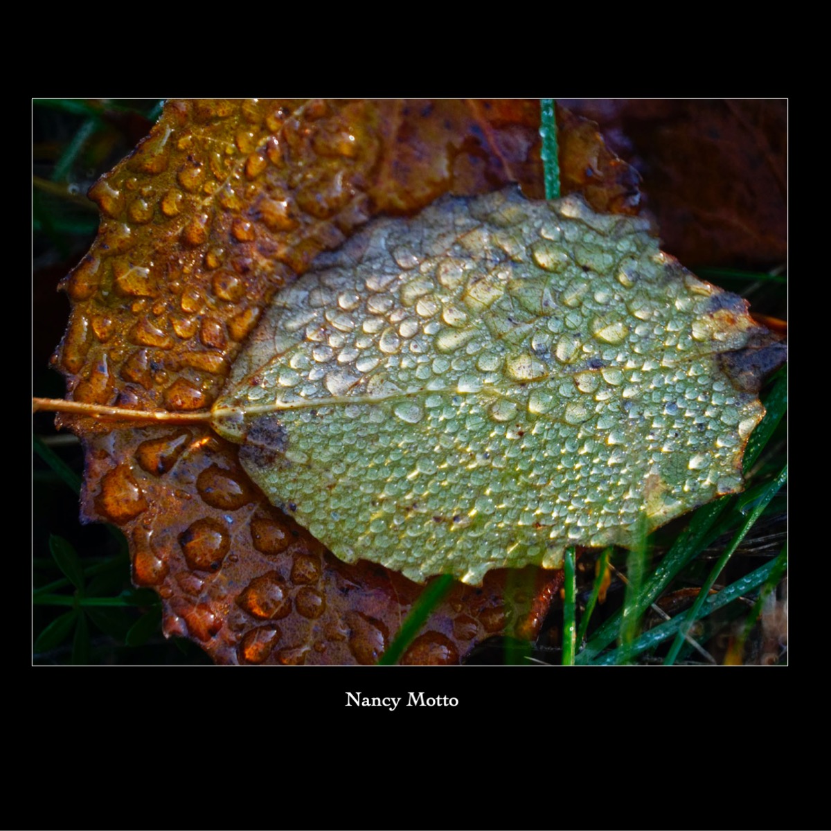 Slide63