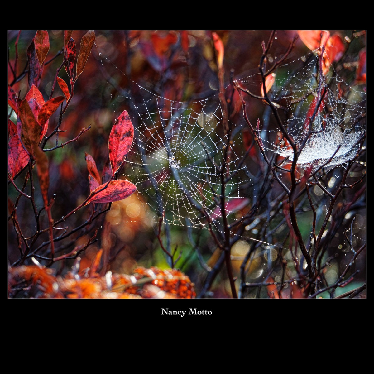 Slide64