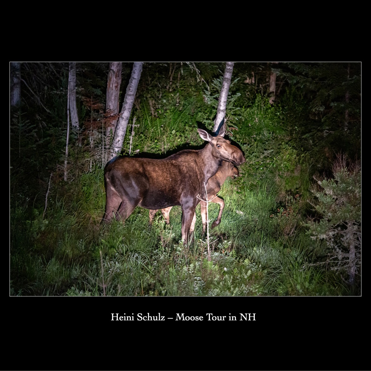 Slide132