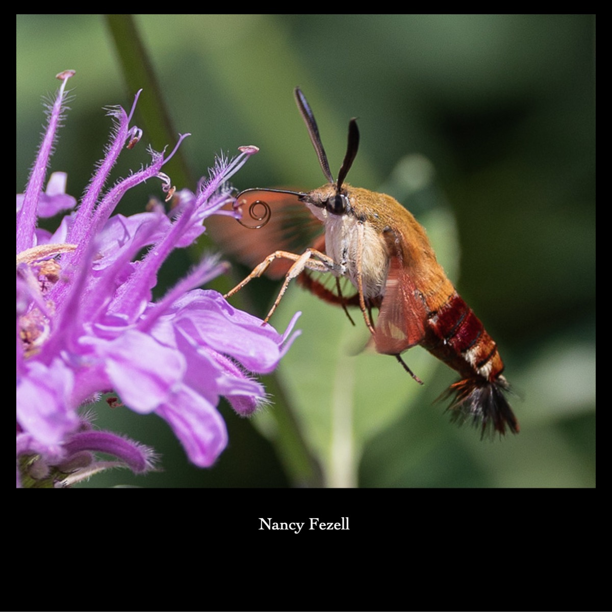 Slide25
