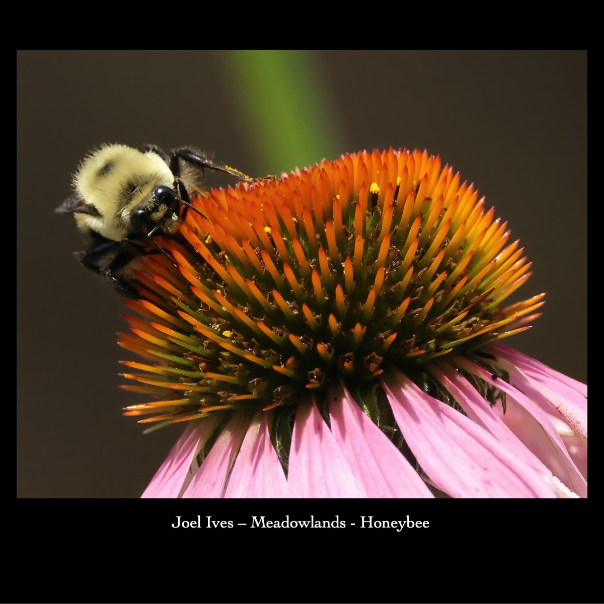 Slide37