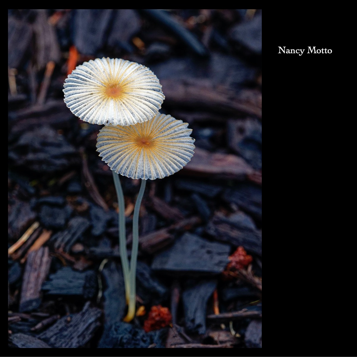 Slide72