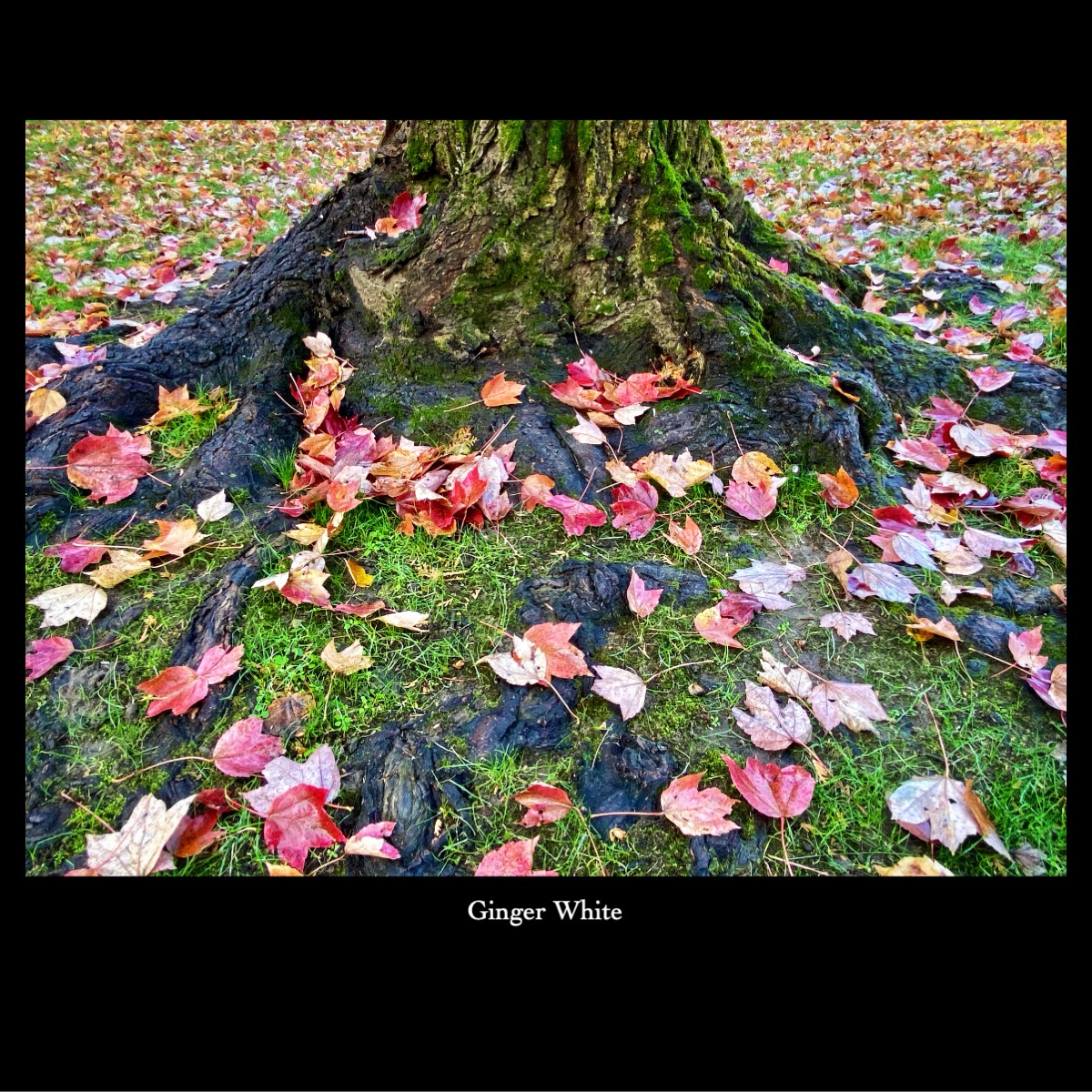 Slide72