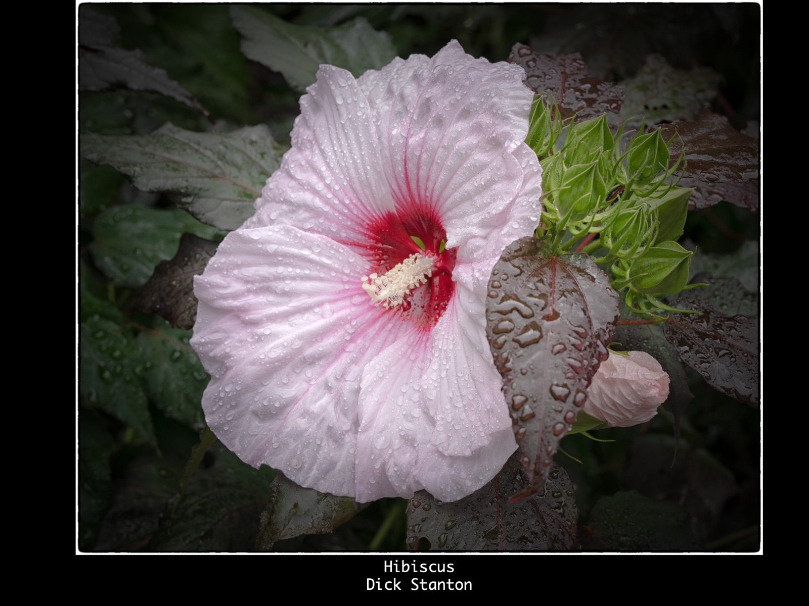 Slide127