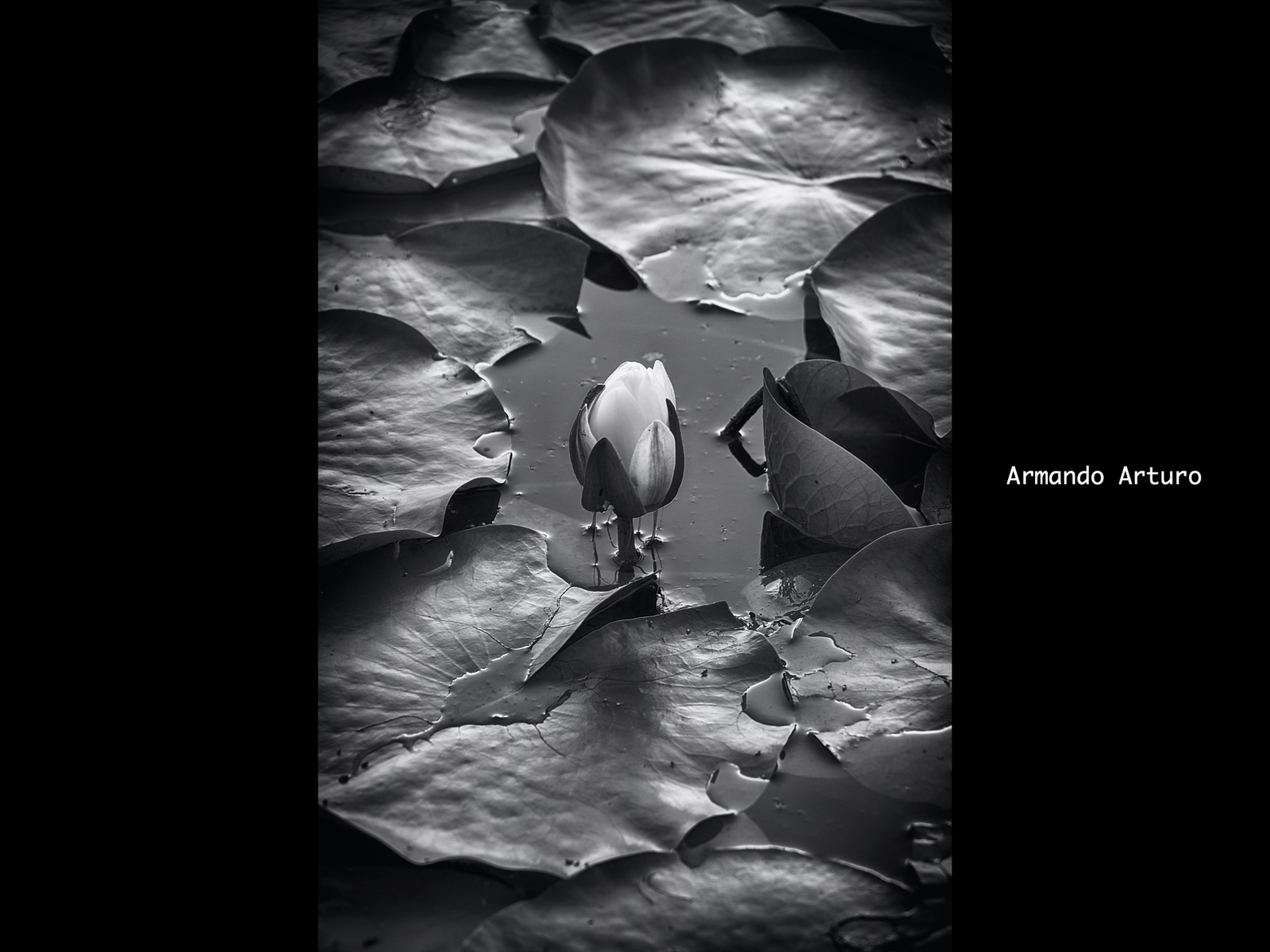 Slide16