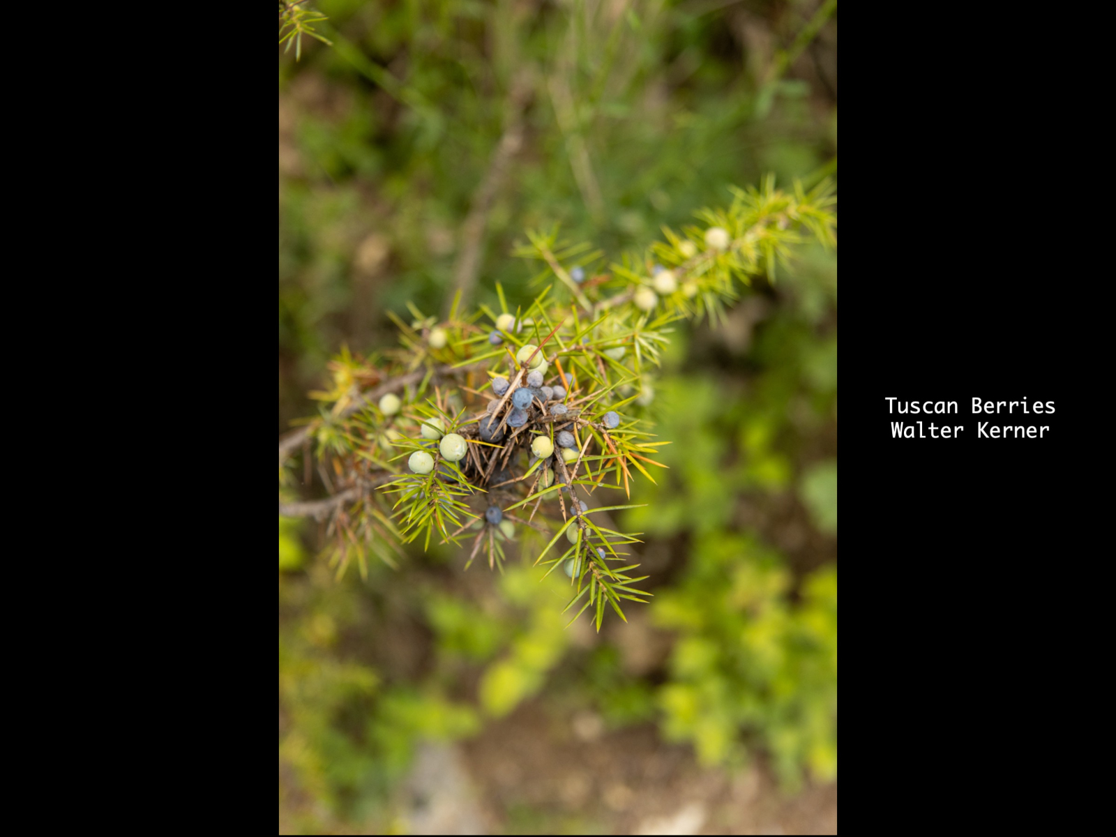 Slide54