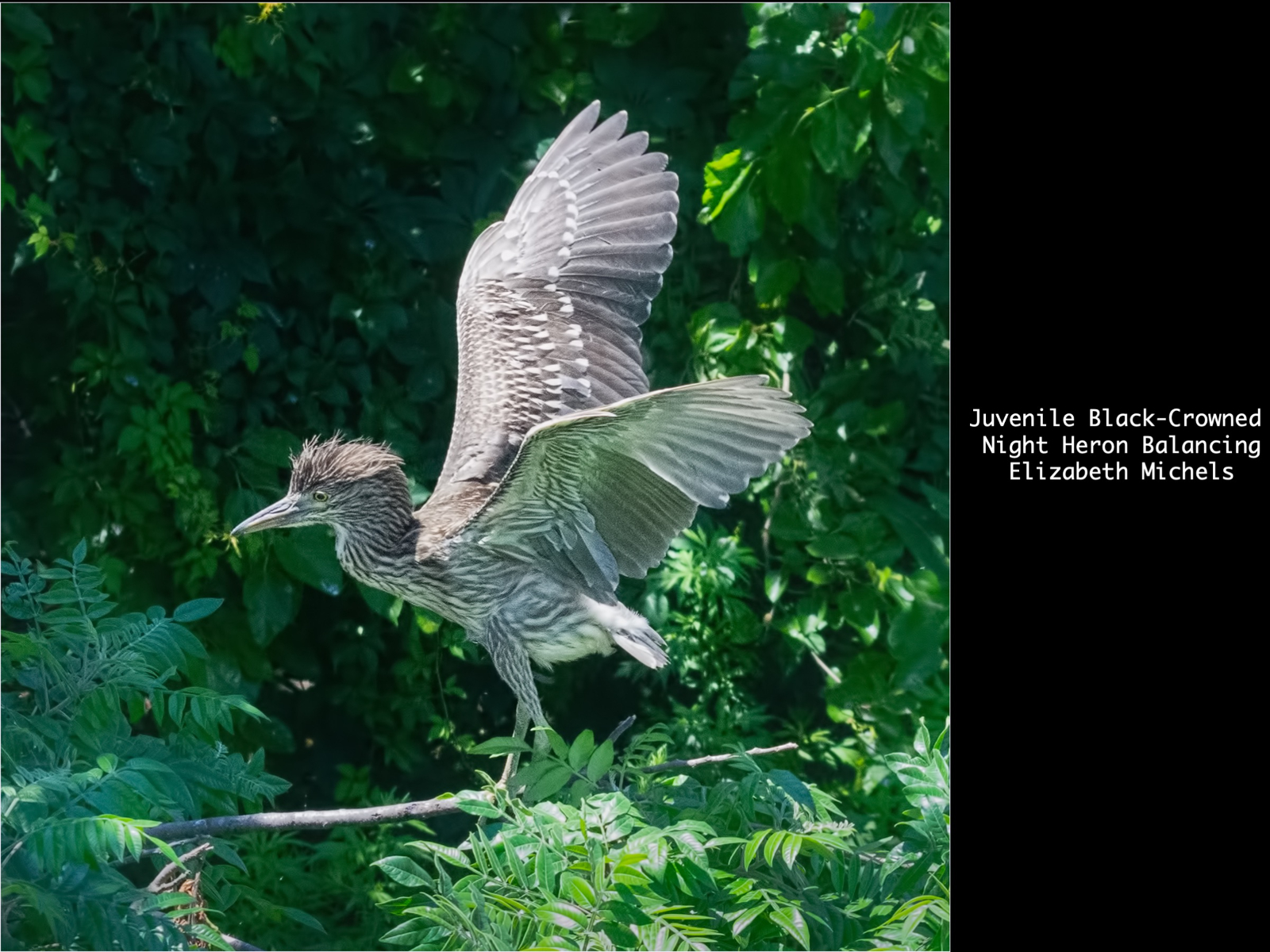 Slide70
