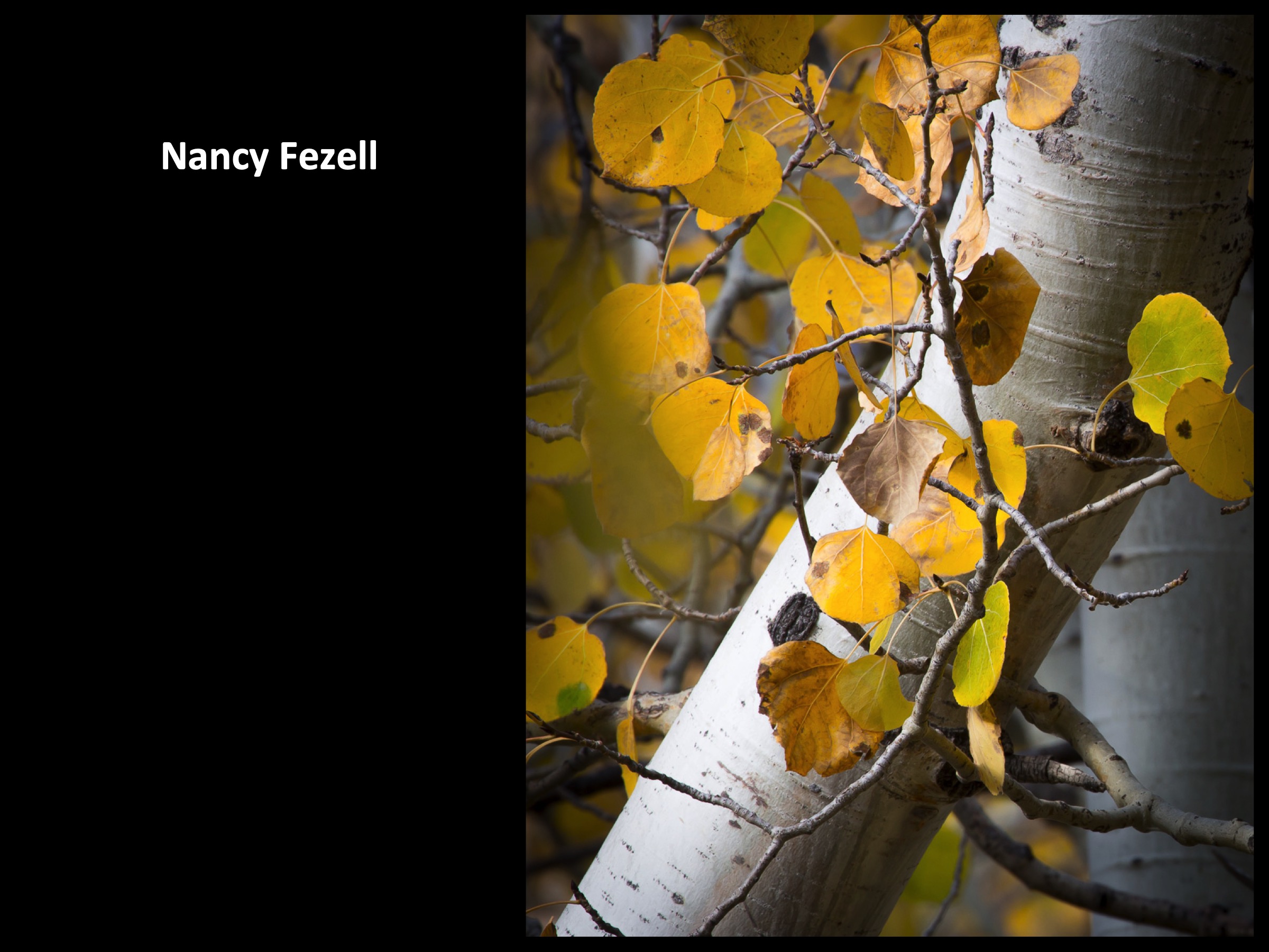 Slide016