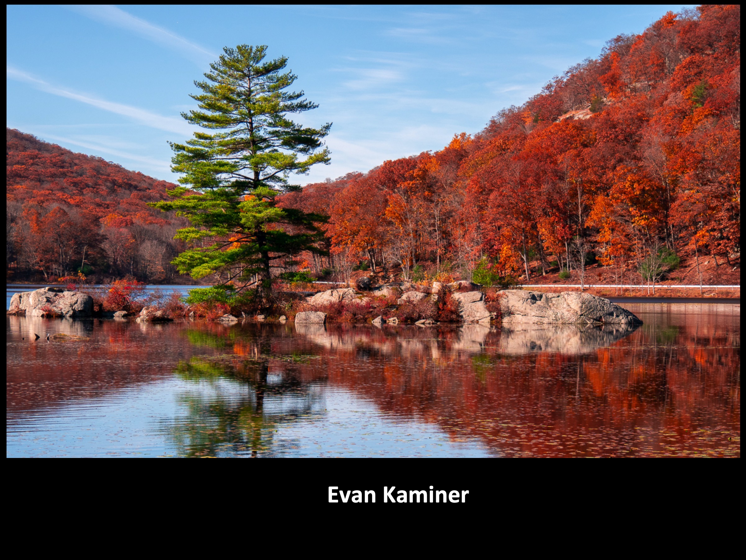 Slide044