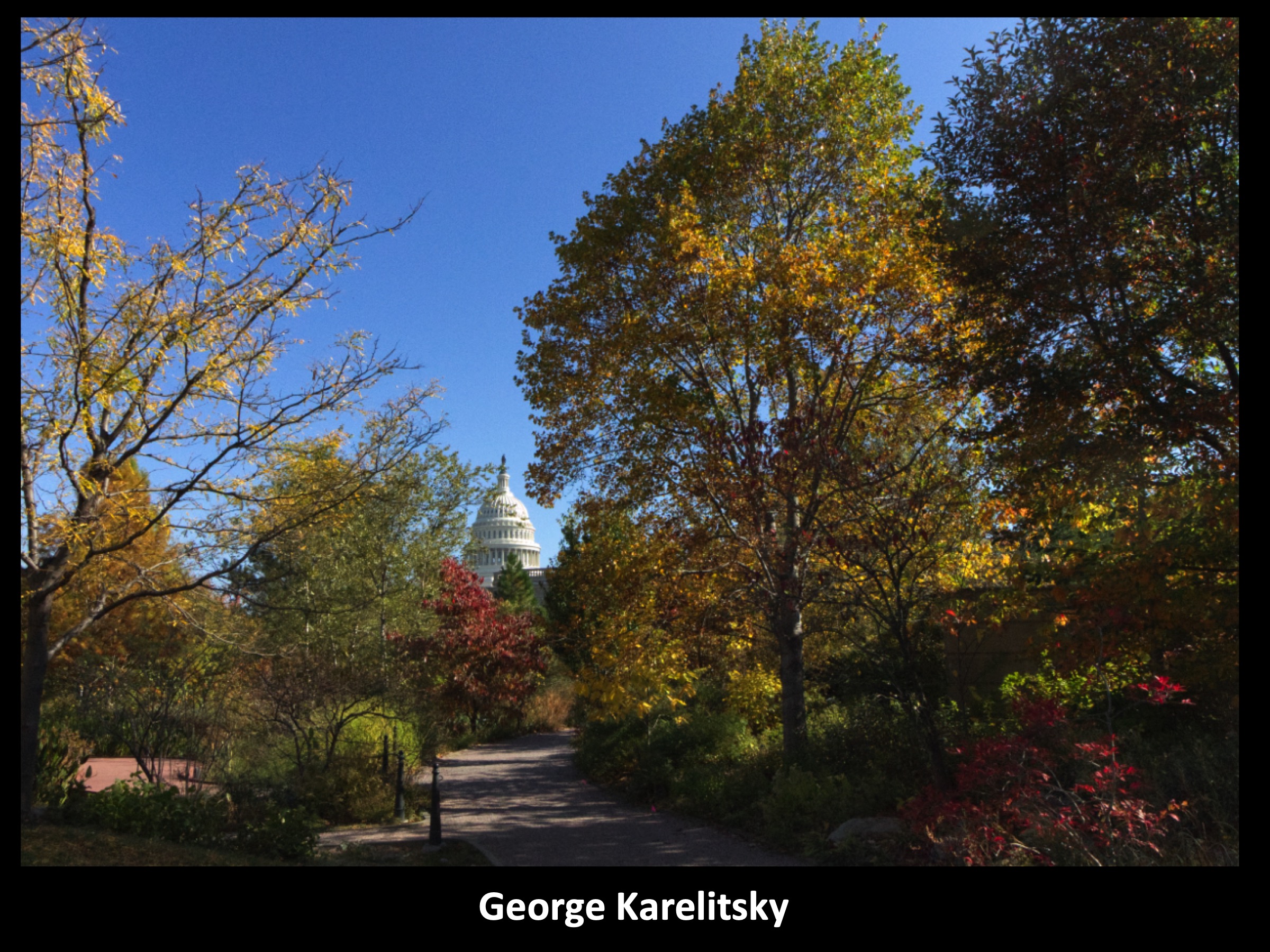 Slide045