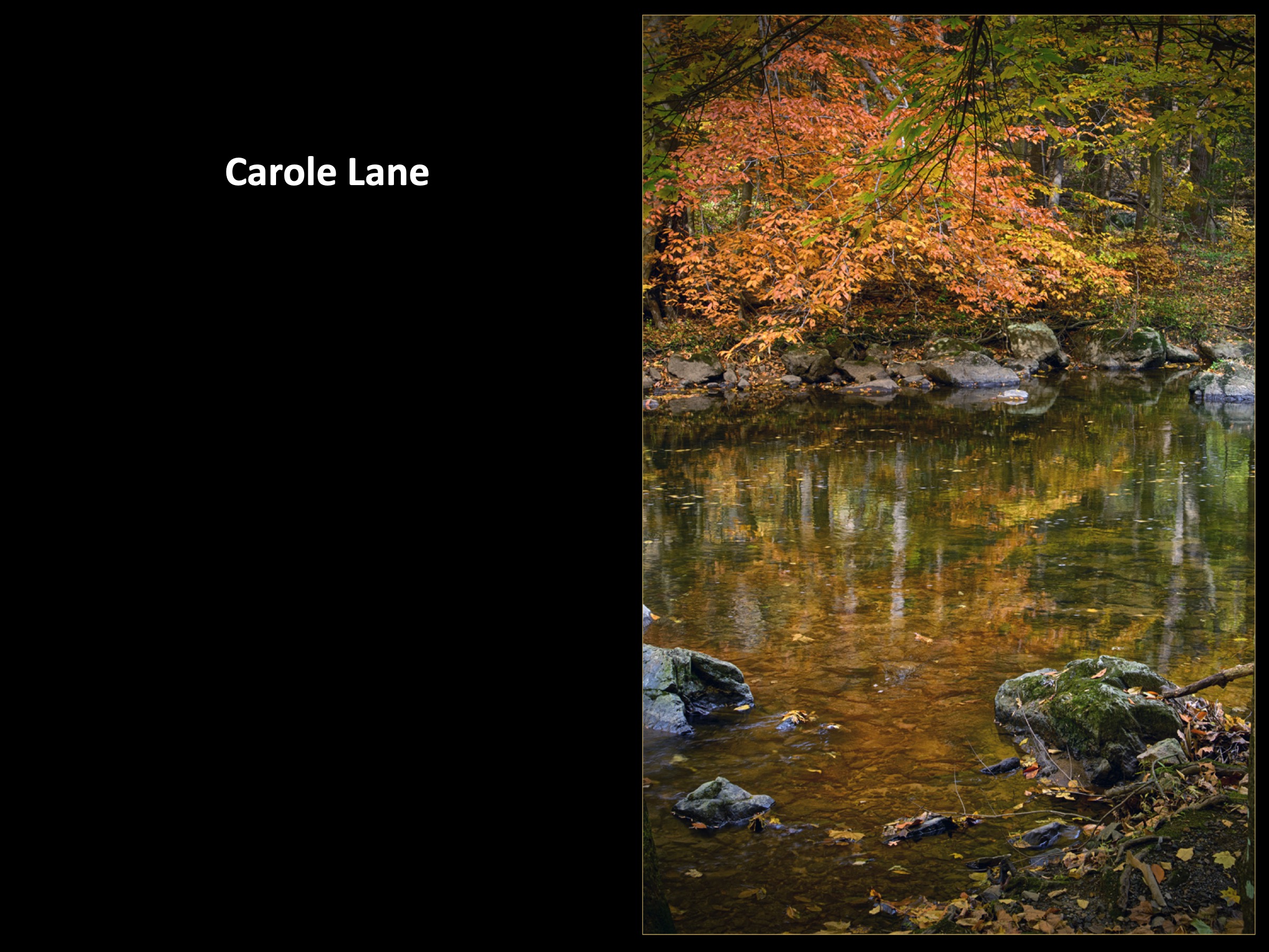 Slide057