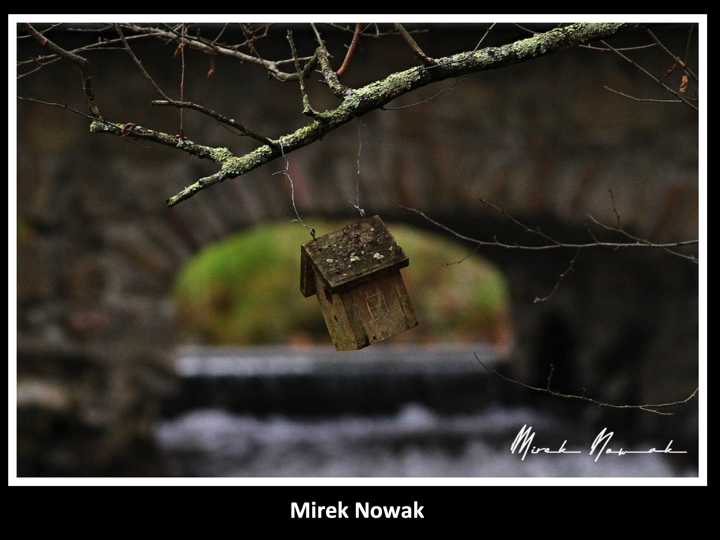Slide067