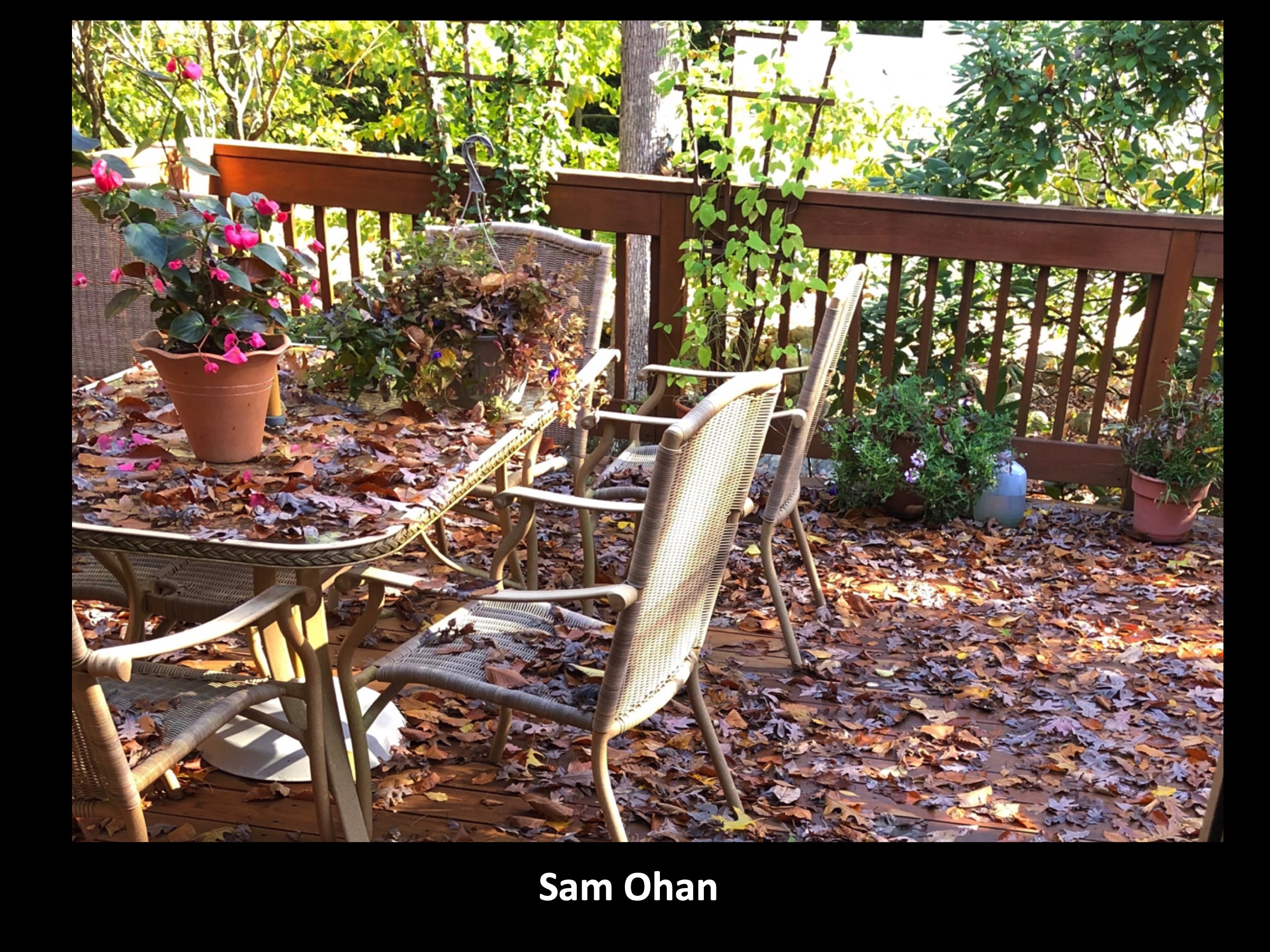 Slide070