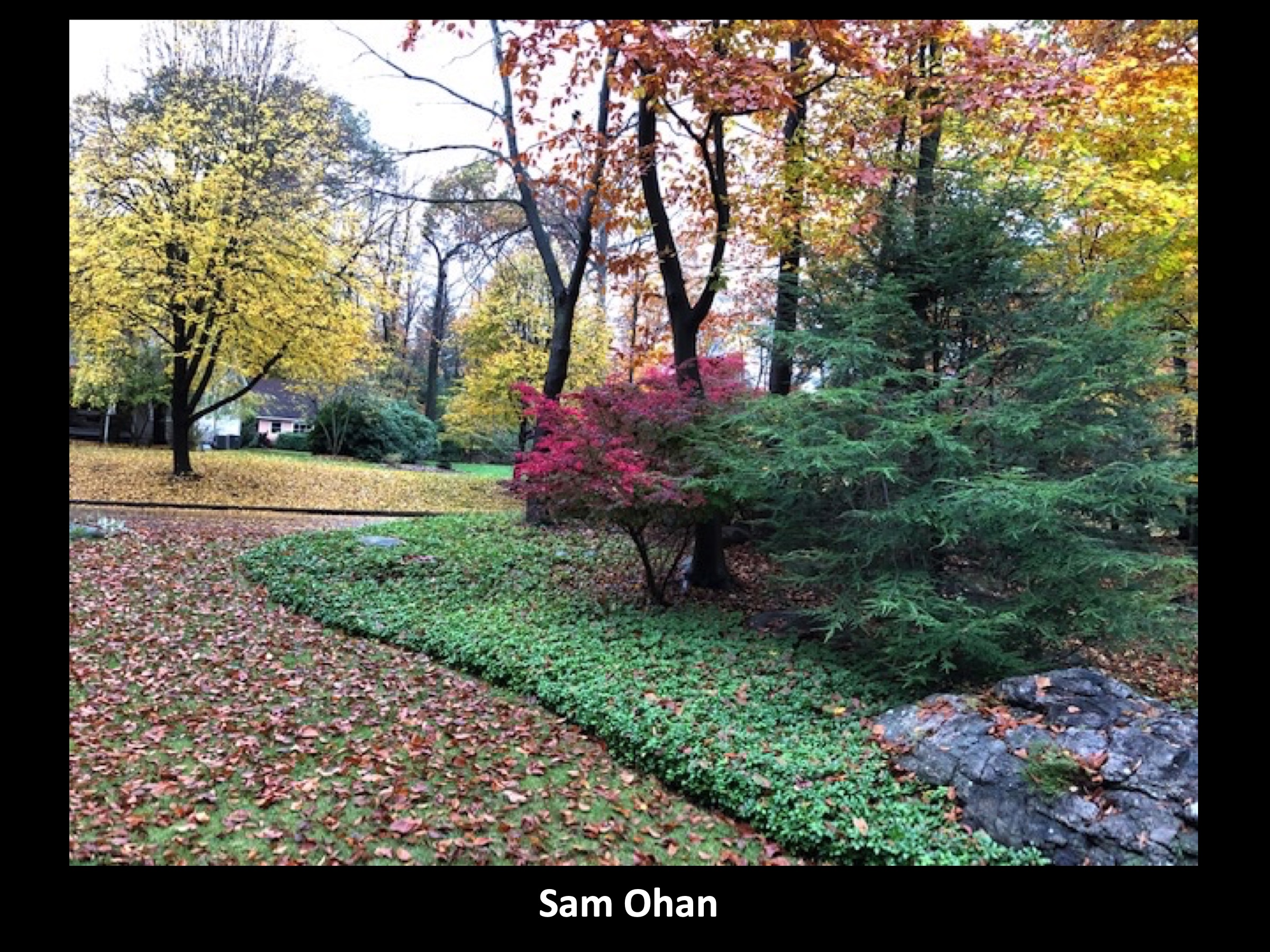 Slide071