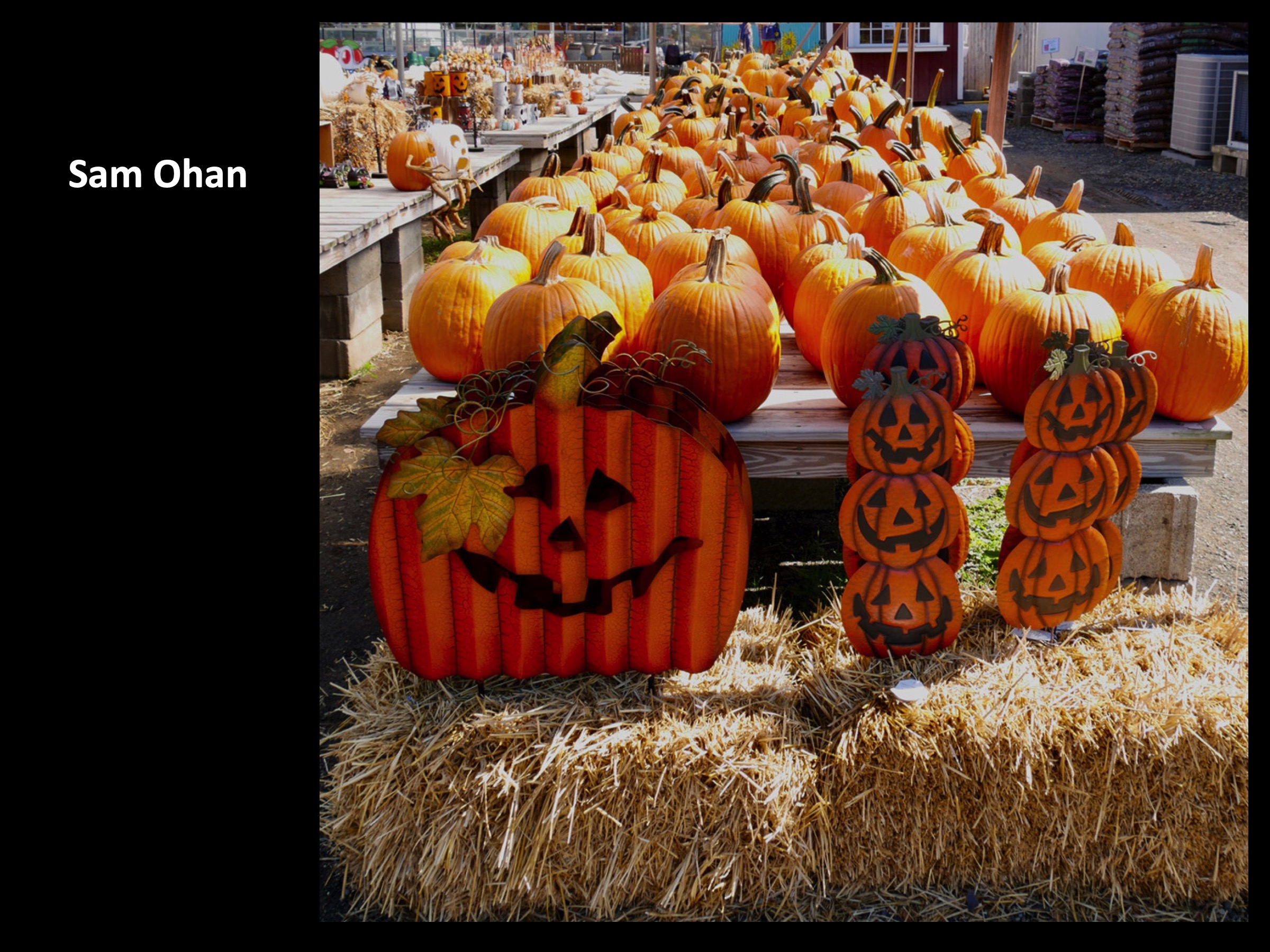 Slide073