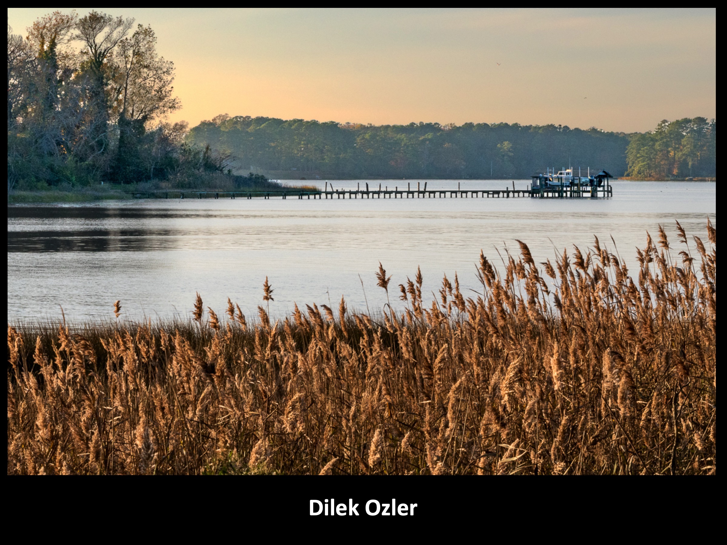 Slide079