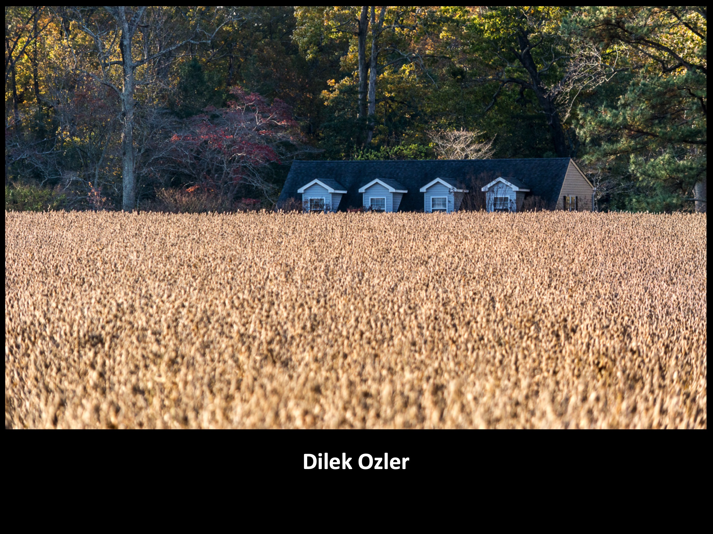 Slide080