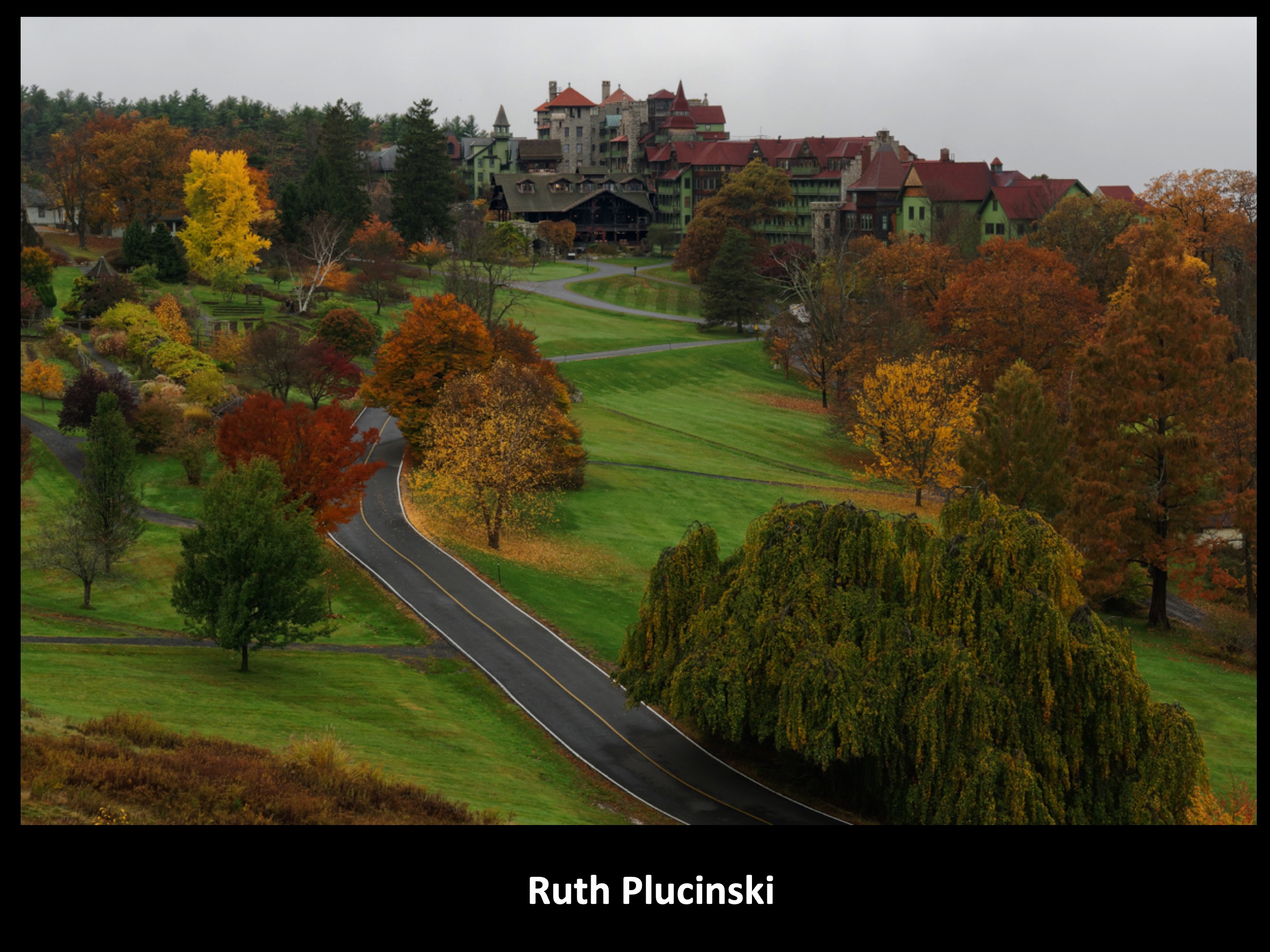 Slide086