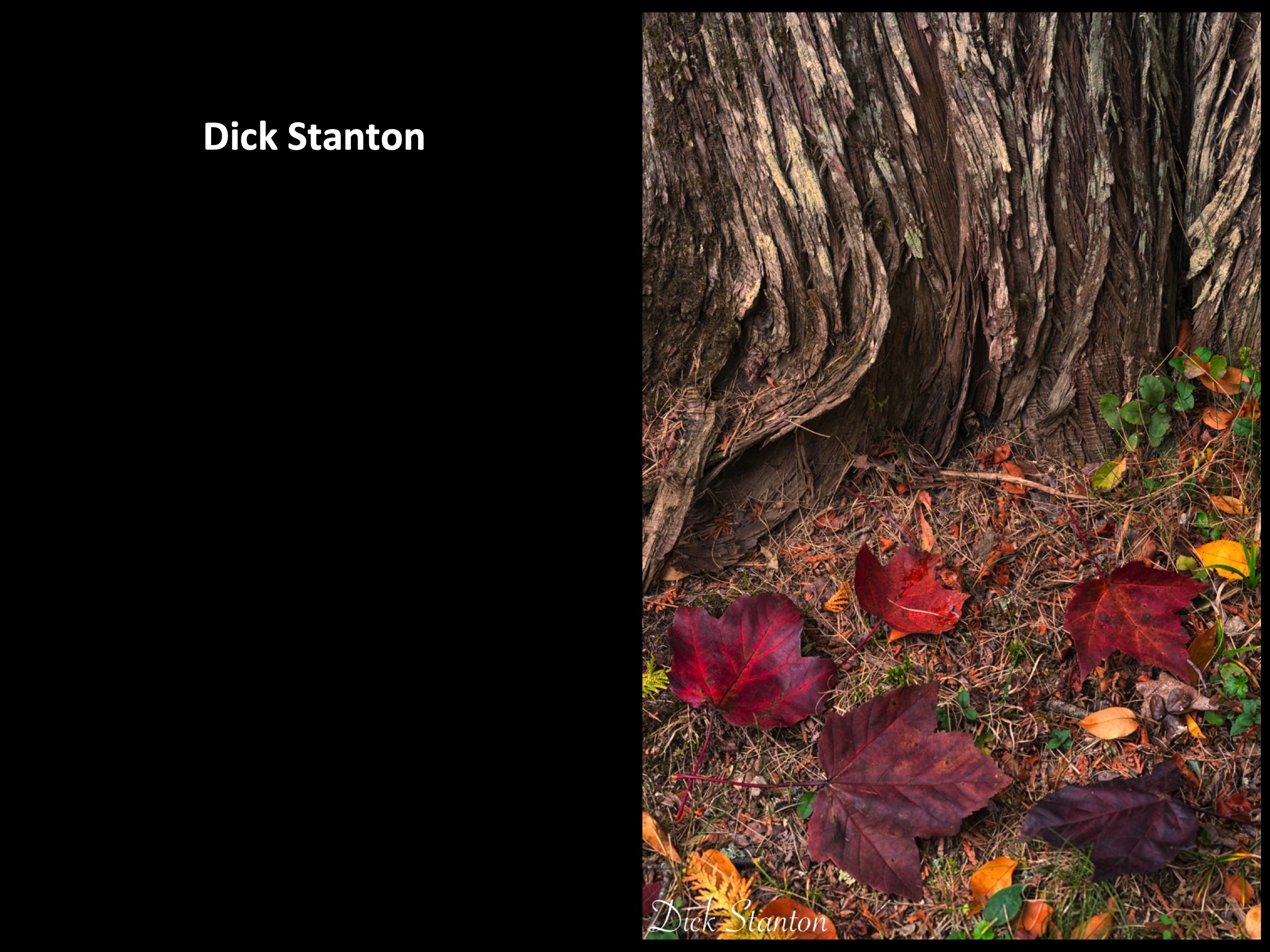 Slide118