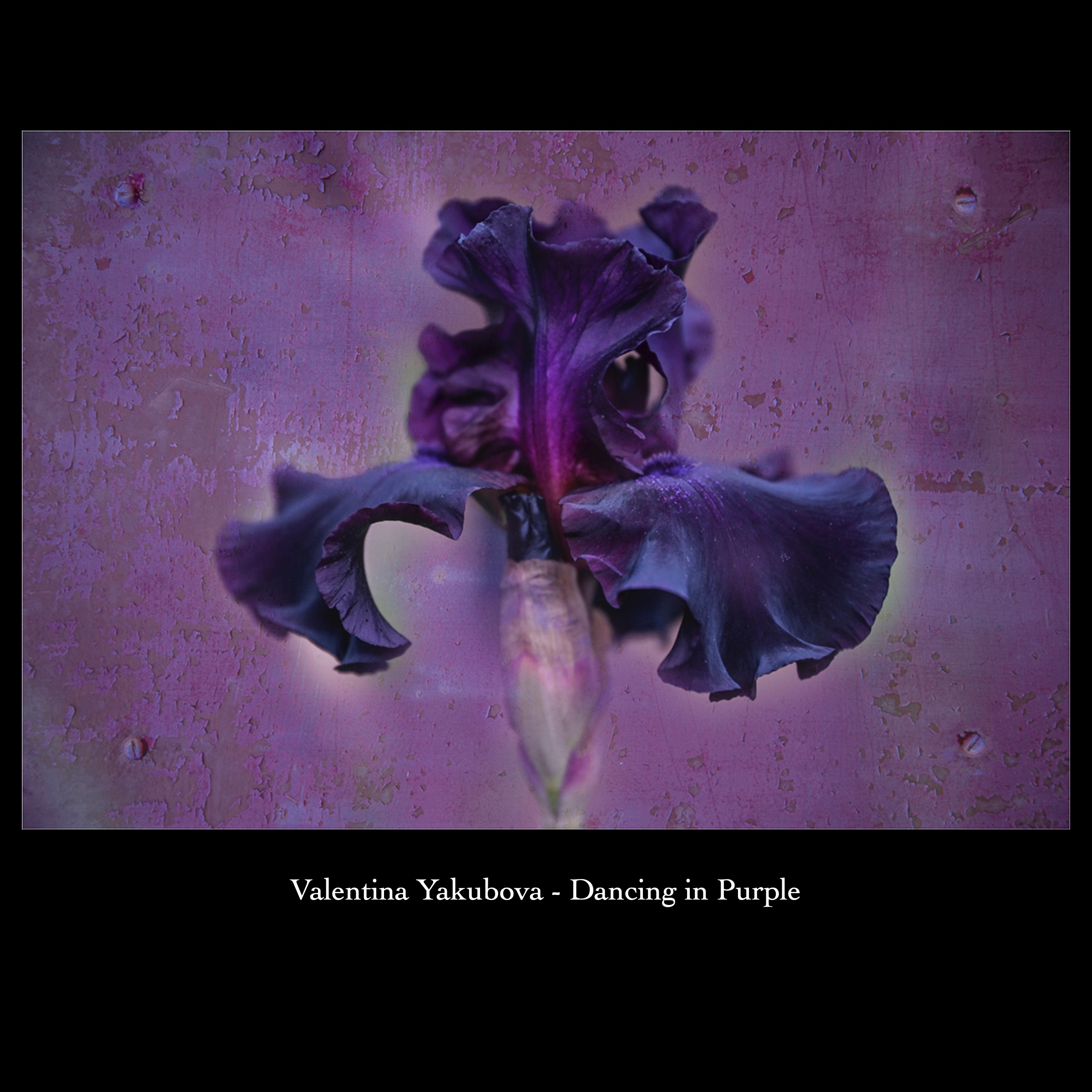 Slide8