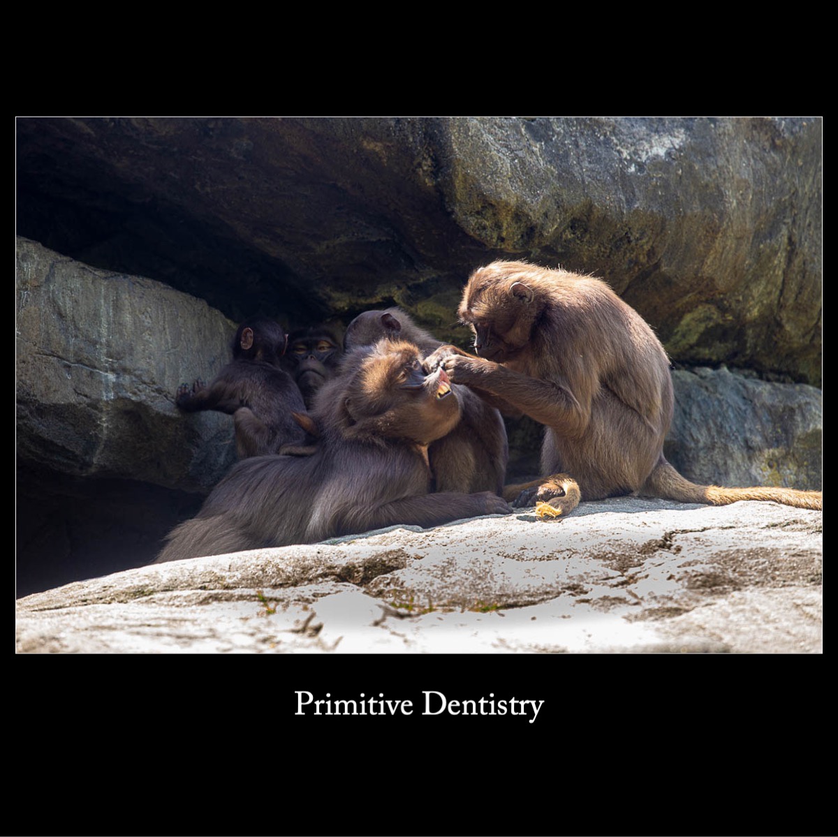 Slide25