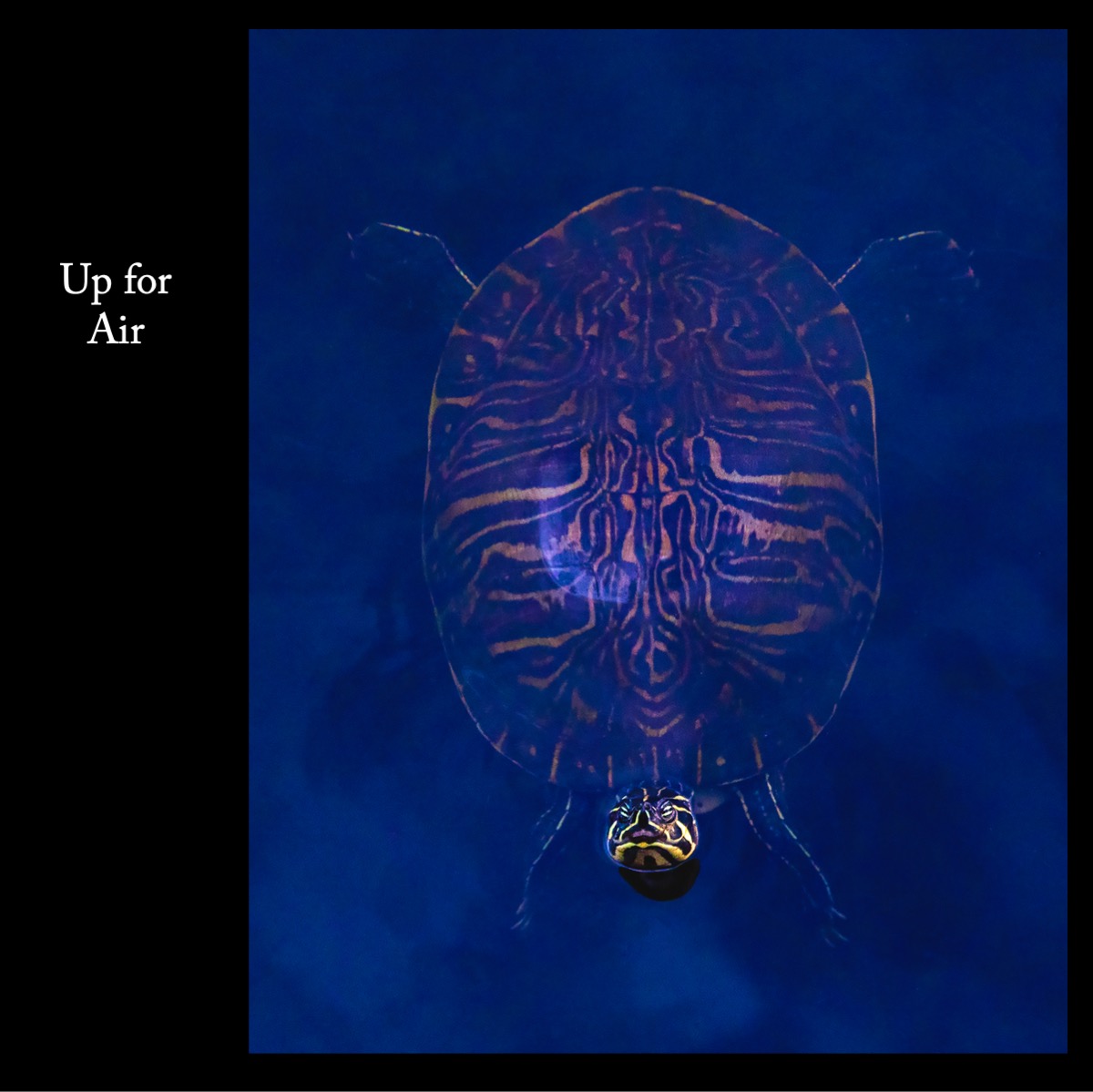 Slide35