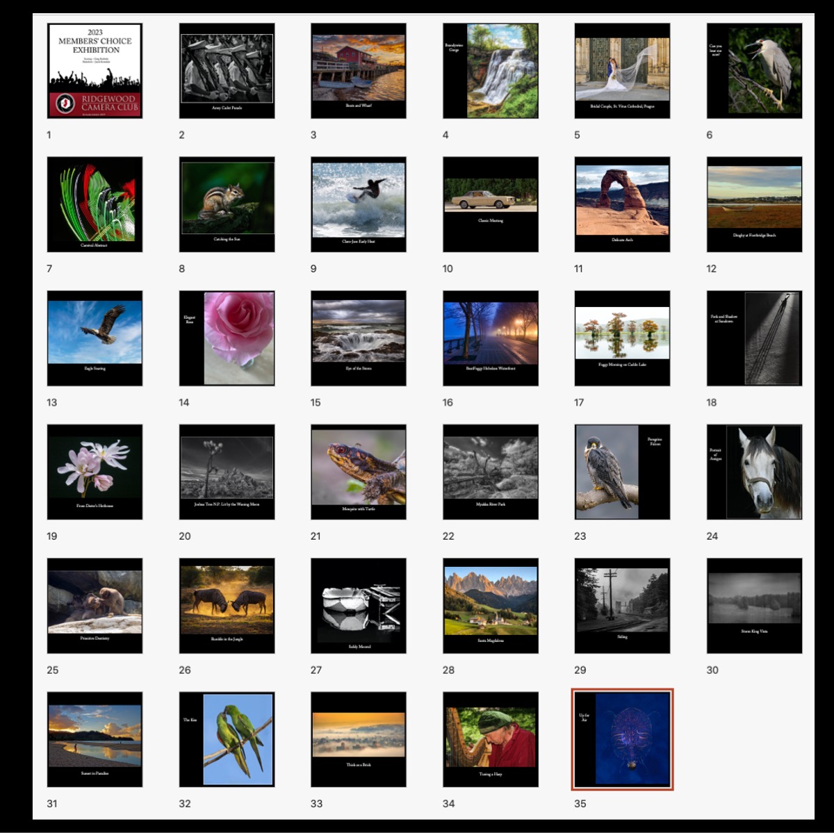 Slide36