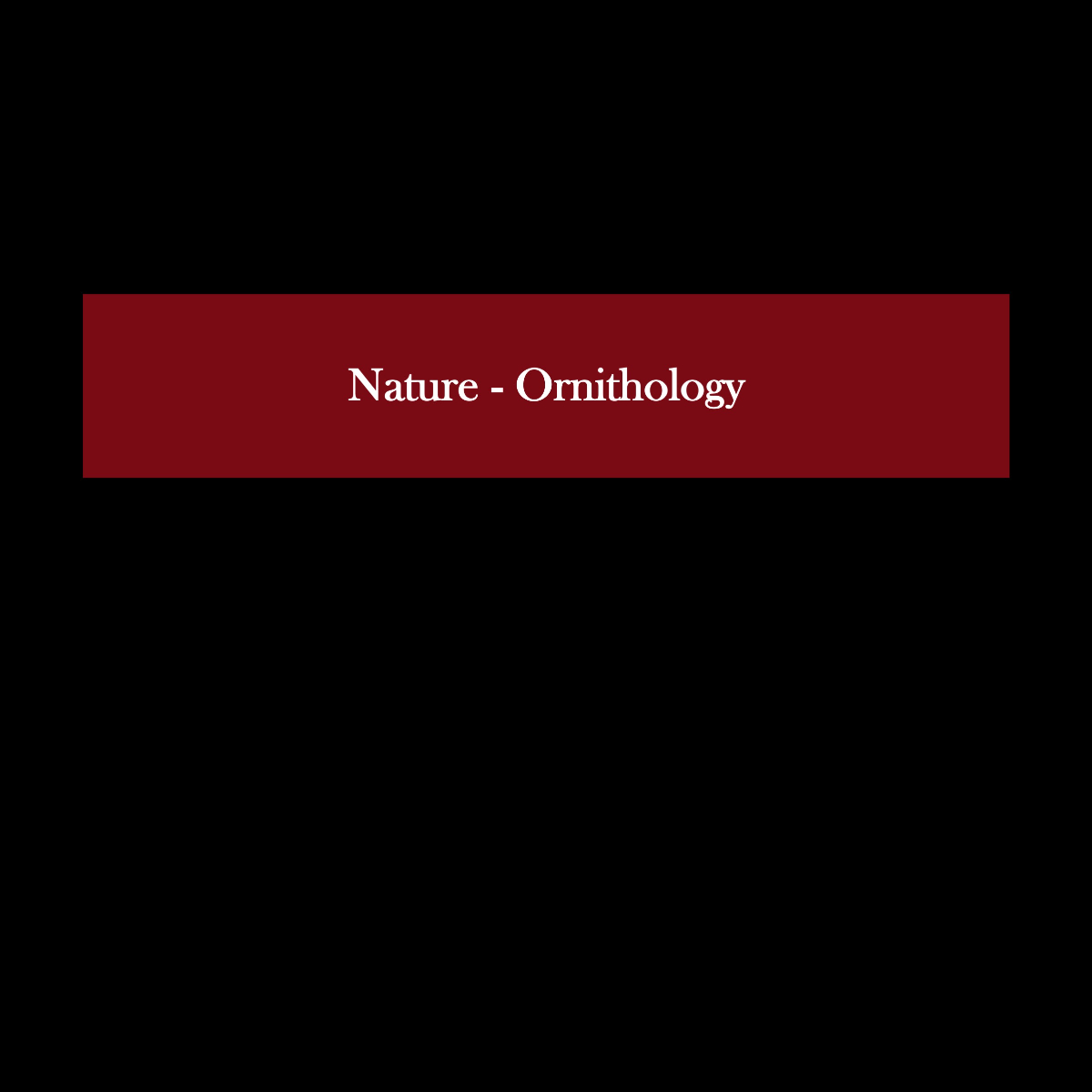 Slide10