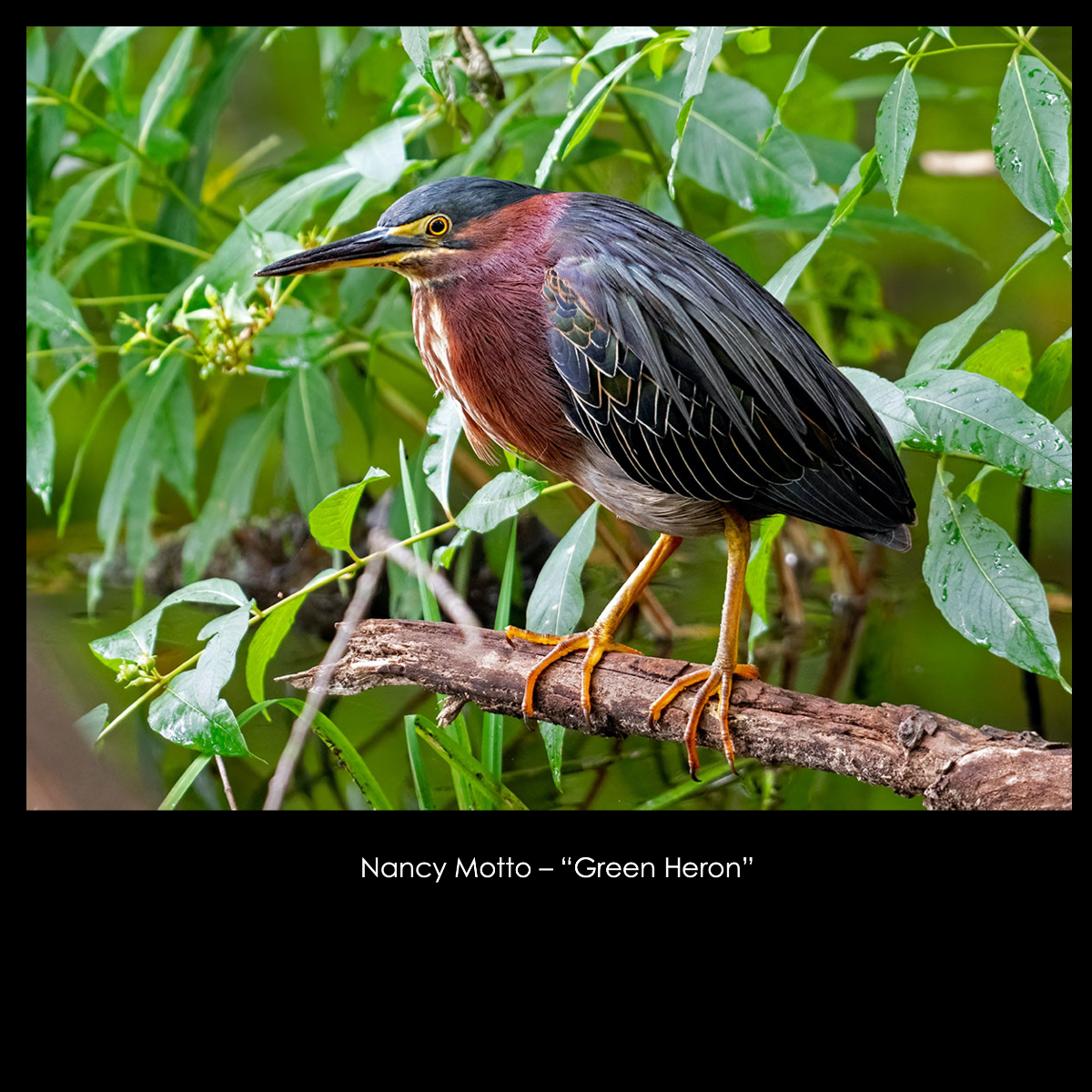 Slide15