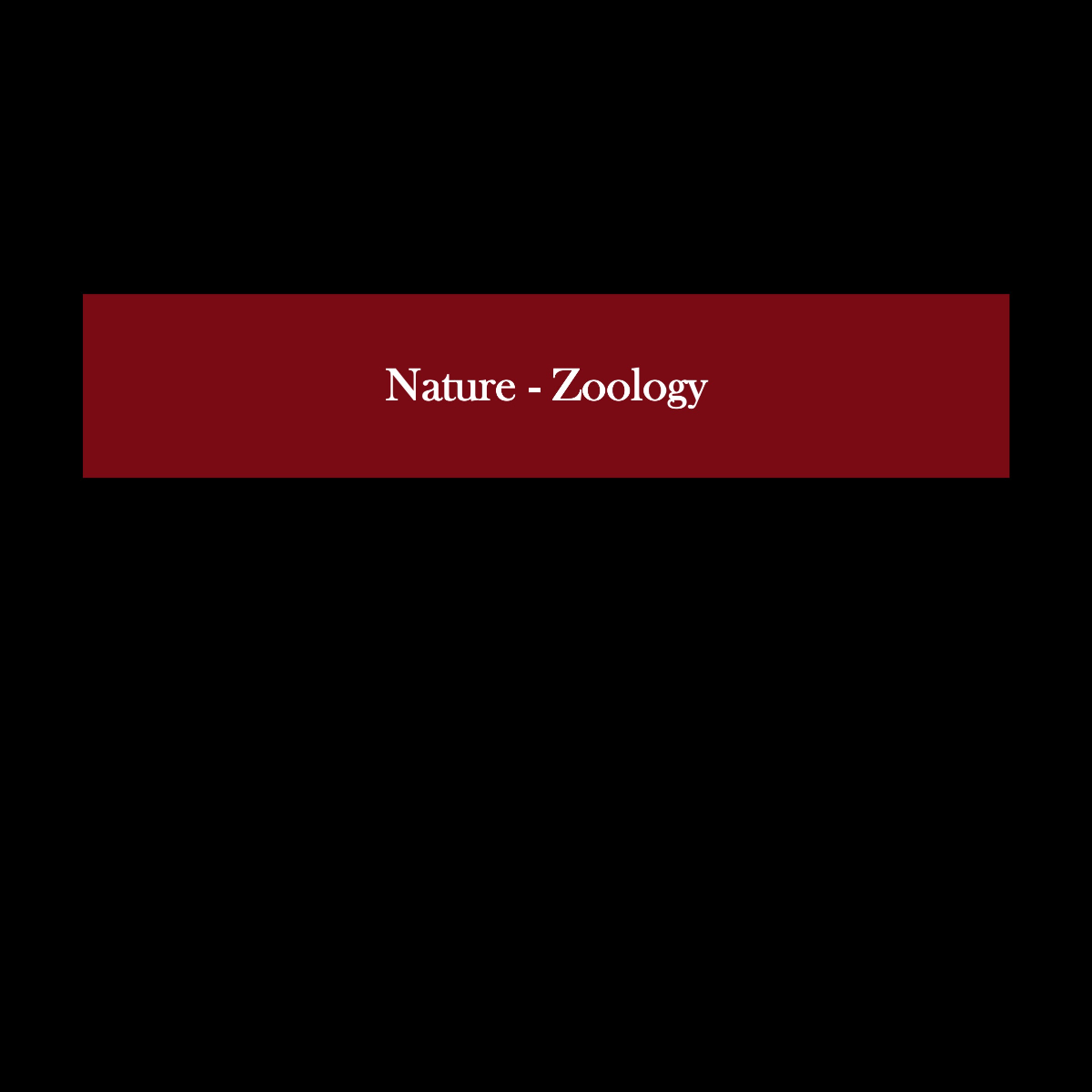 Slide21