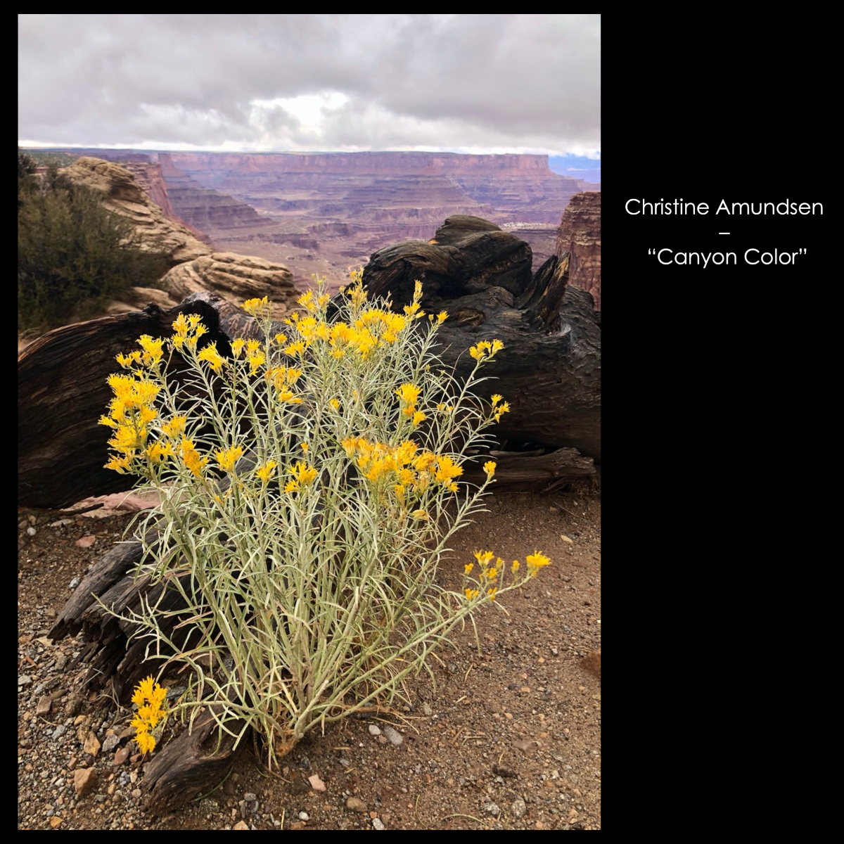 Slide28